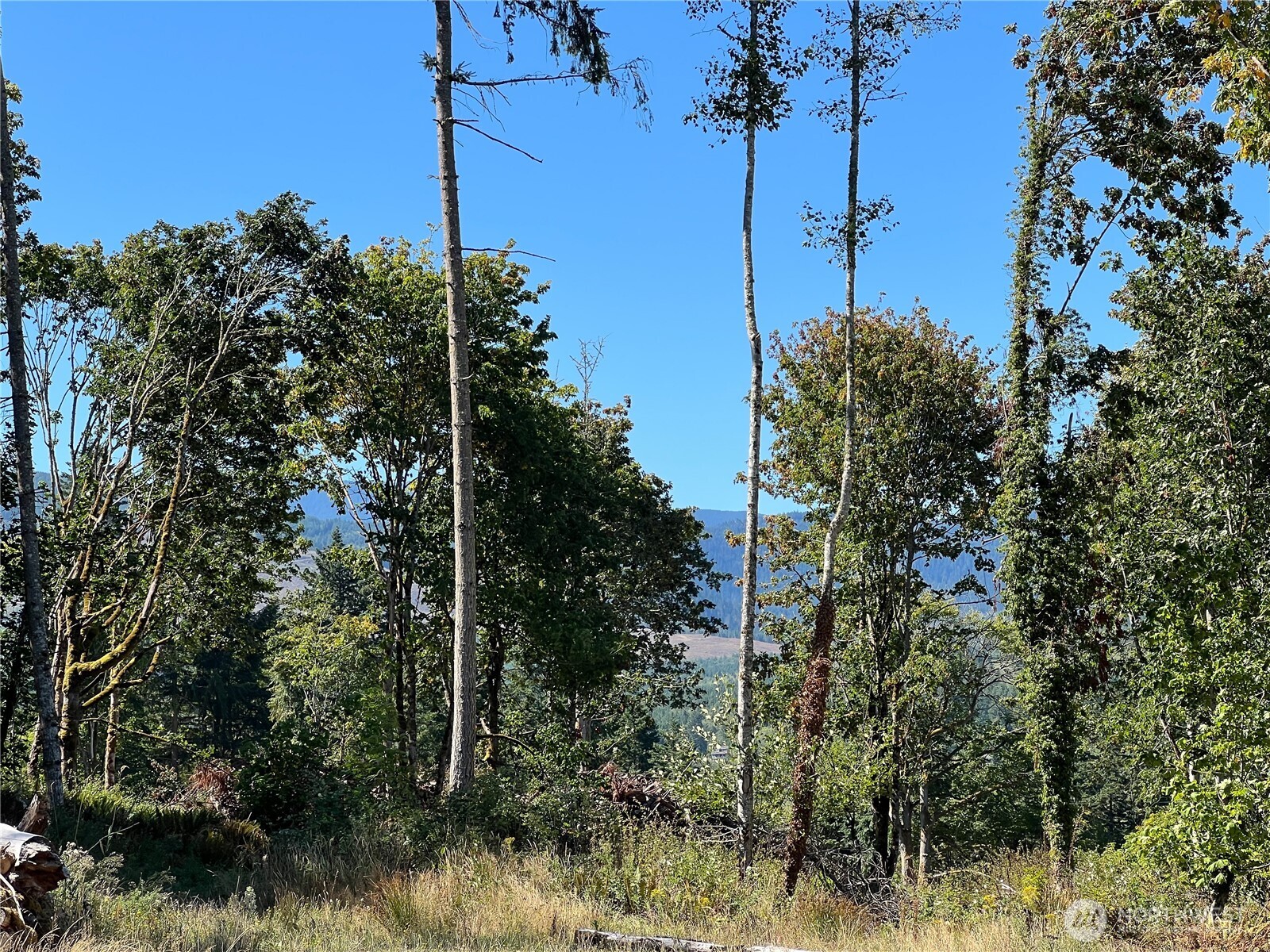 480 Highway 20 Property Photo 10