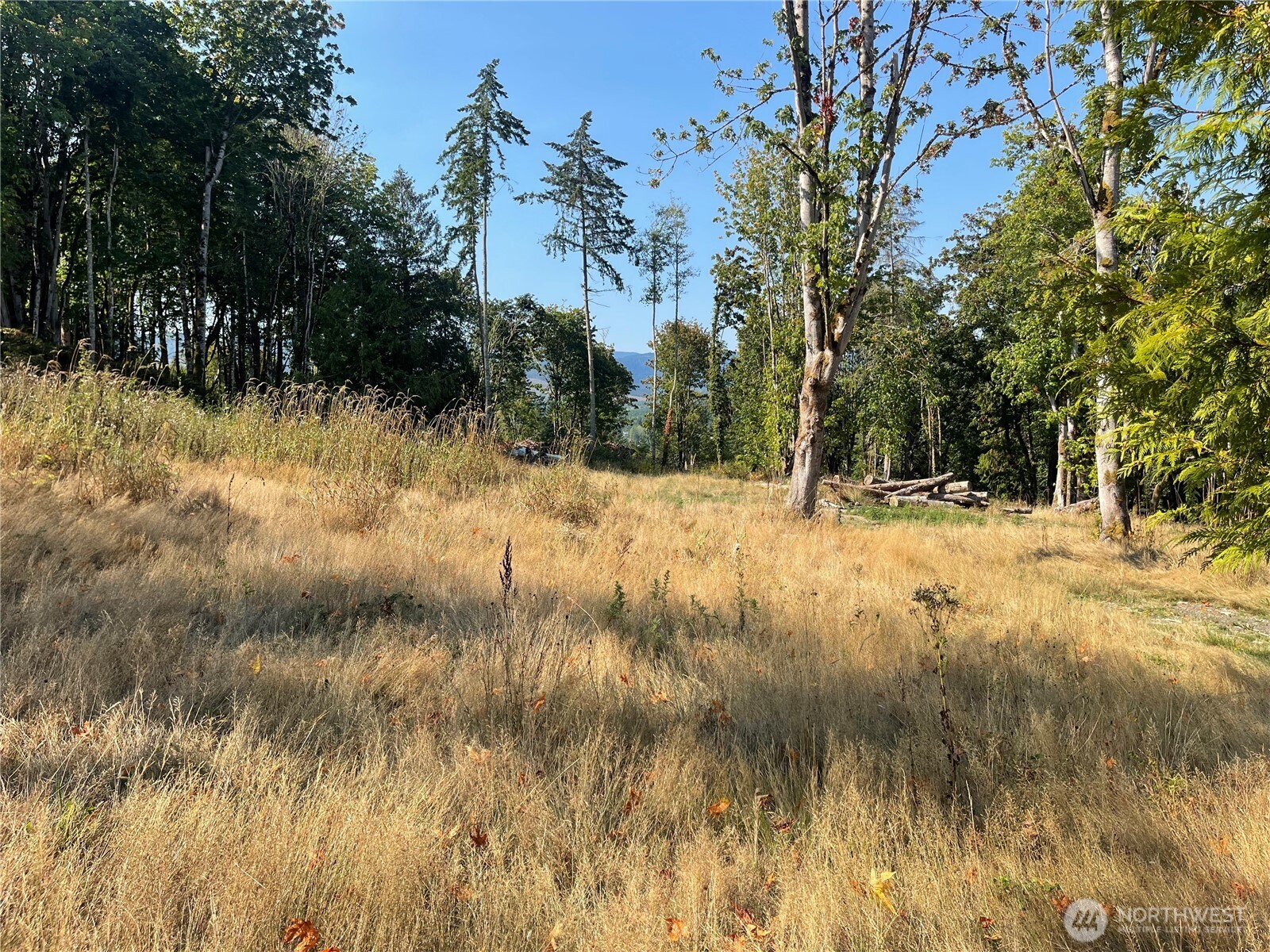 480 Highway 20 Property Photo 12