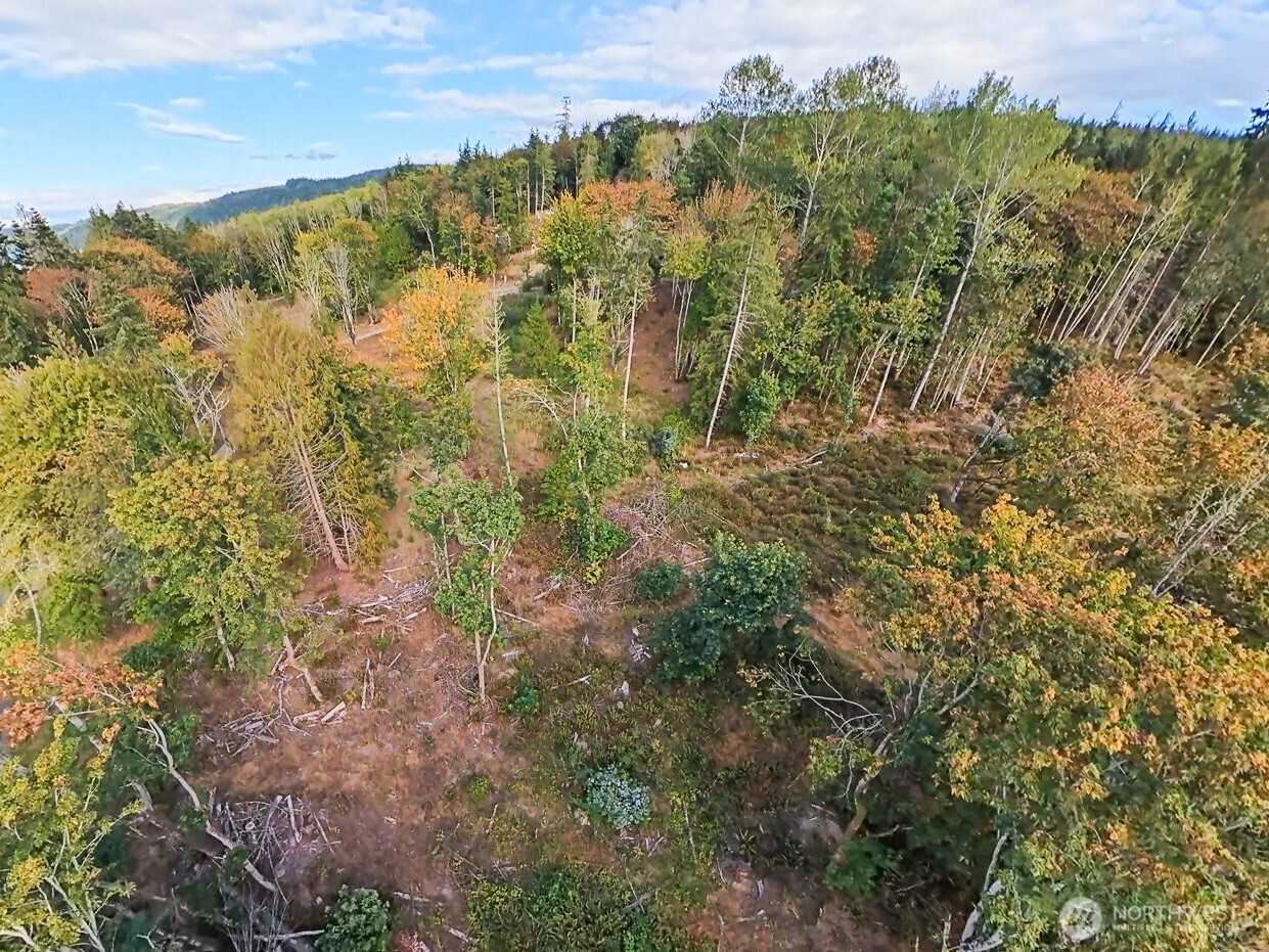 480 Highway 20 Property Photo 25