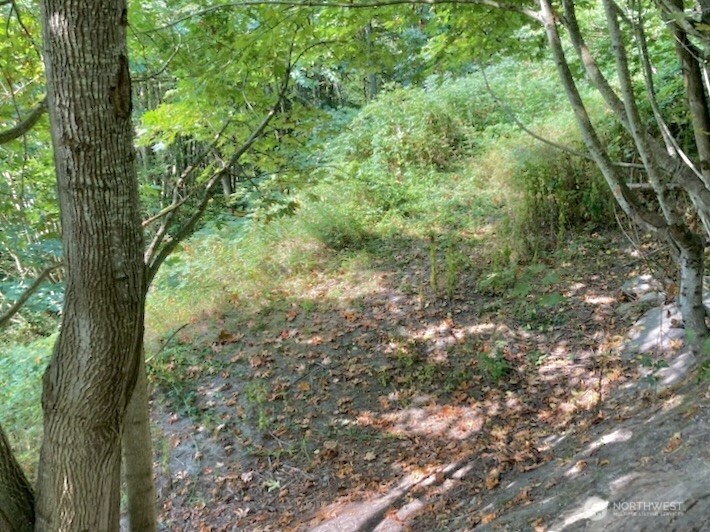 1517 Sw 124th Street Property Photo 21