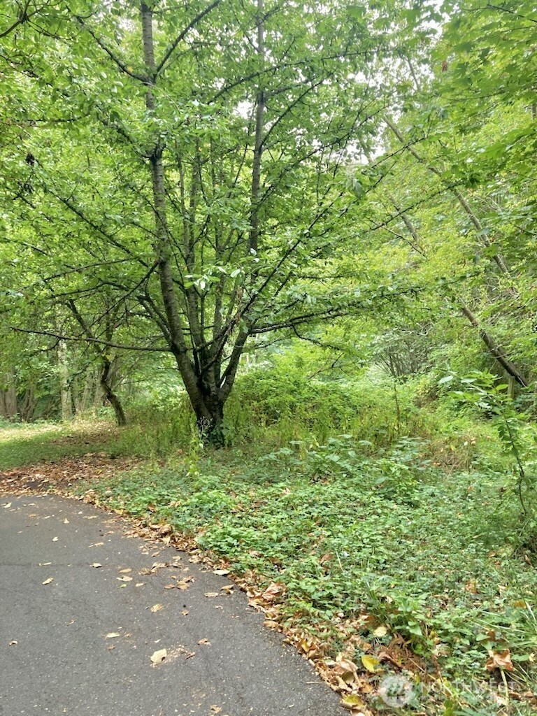 1517 Sw 124th Street Property Photo 22