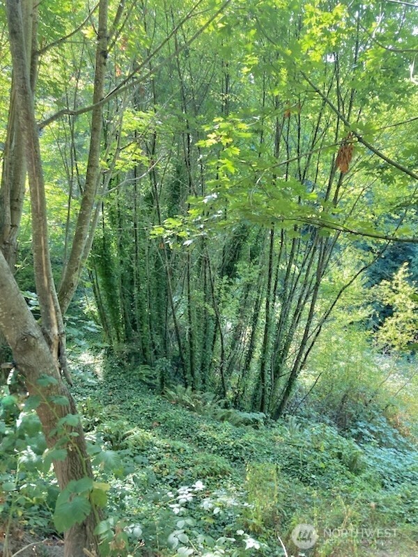 1517 Sw 124th Street Property Photo 23