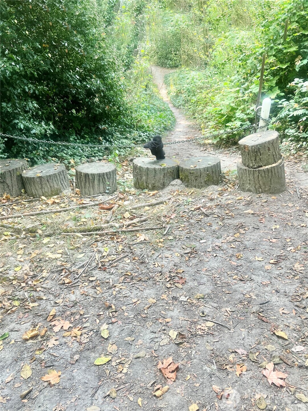 1517 Sw 124th Street Property Photo 37