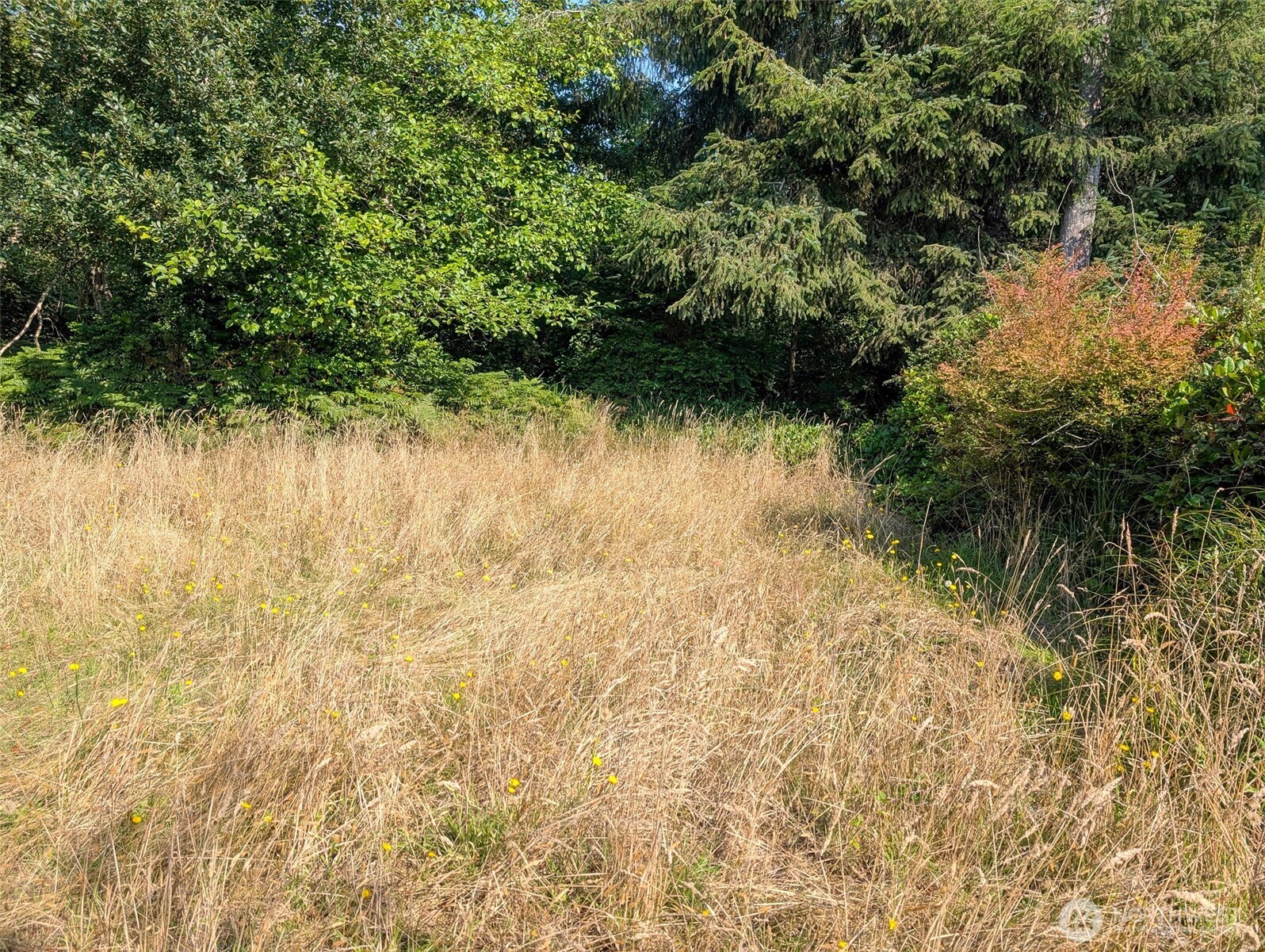 618 Sunset Avenue Property Photo 3