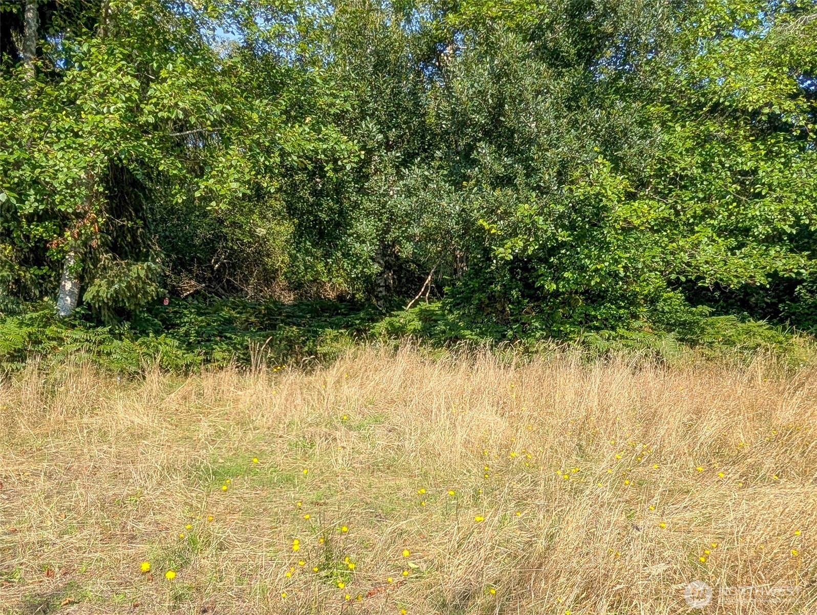 618 Sunset Avenue Property Photo 4