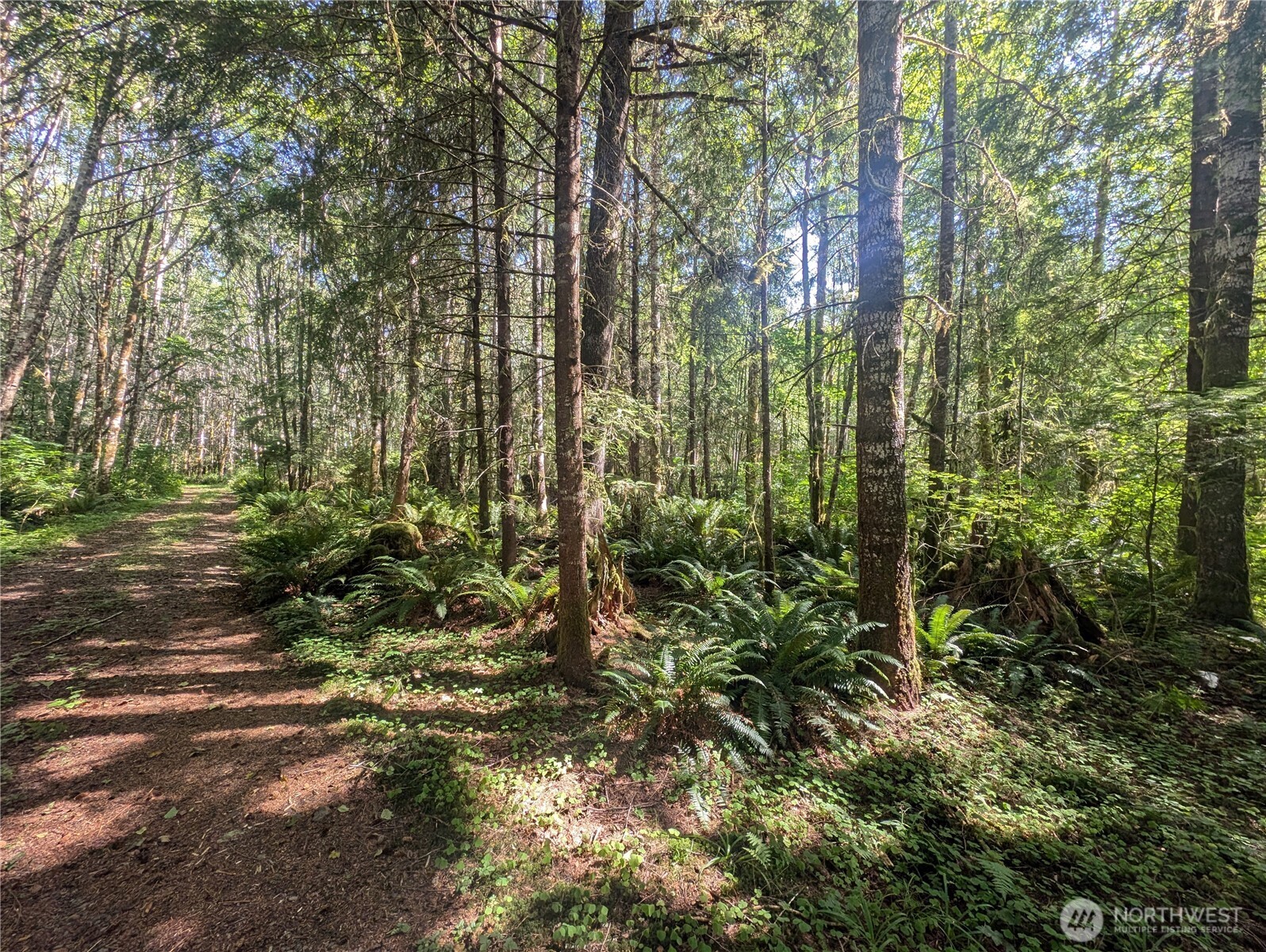 999 Hwy 101 Highway Property Photo 1