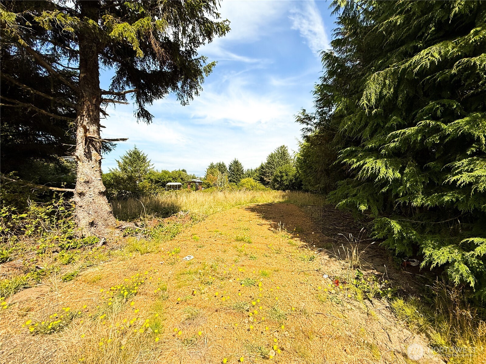 558 Point Brown Ave Se Property Photo 13