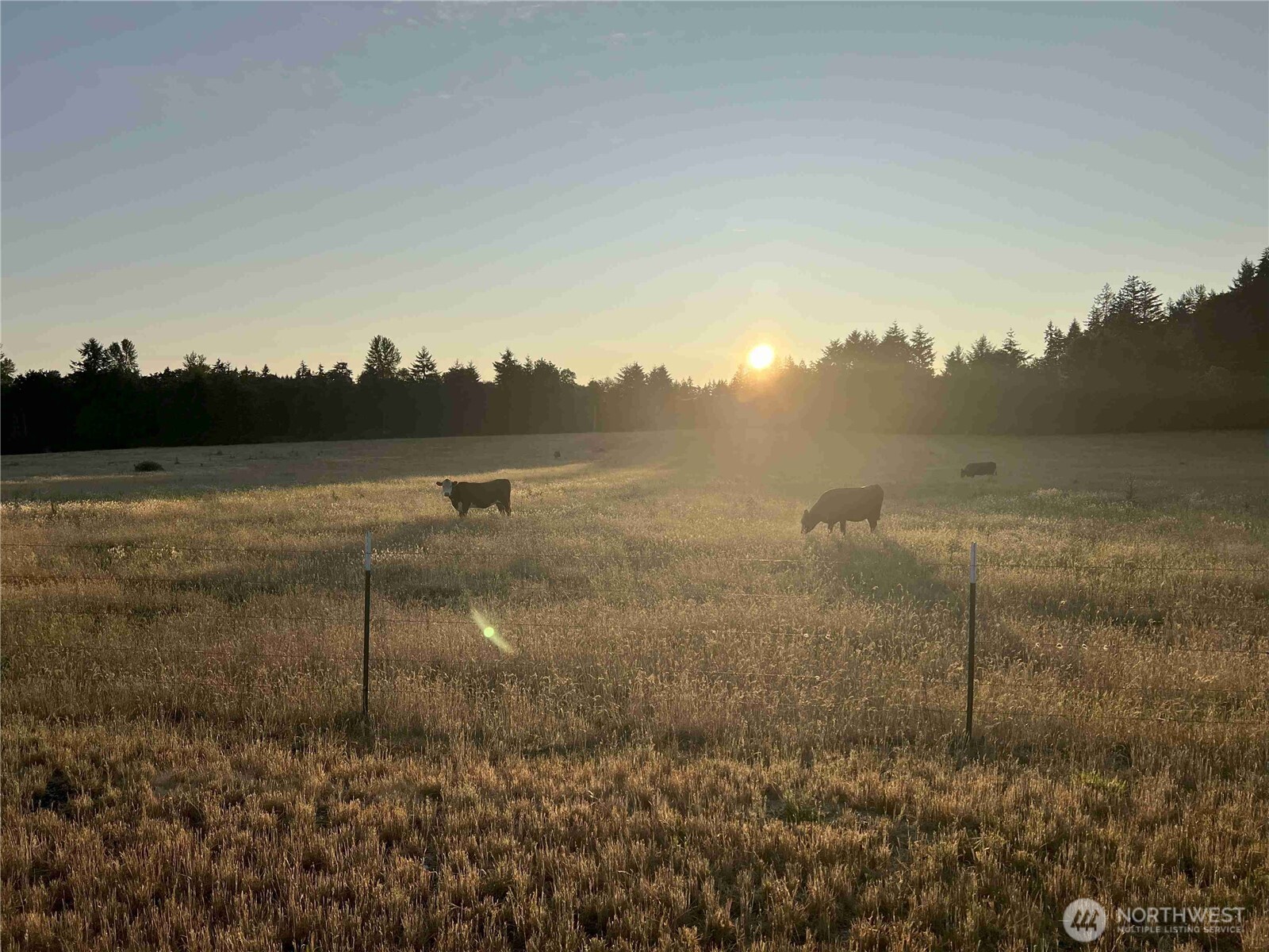 13911 Military Road Property Photo 7