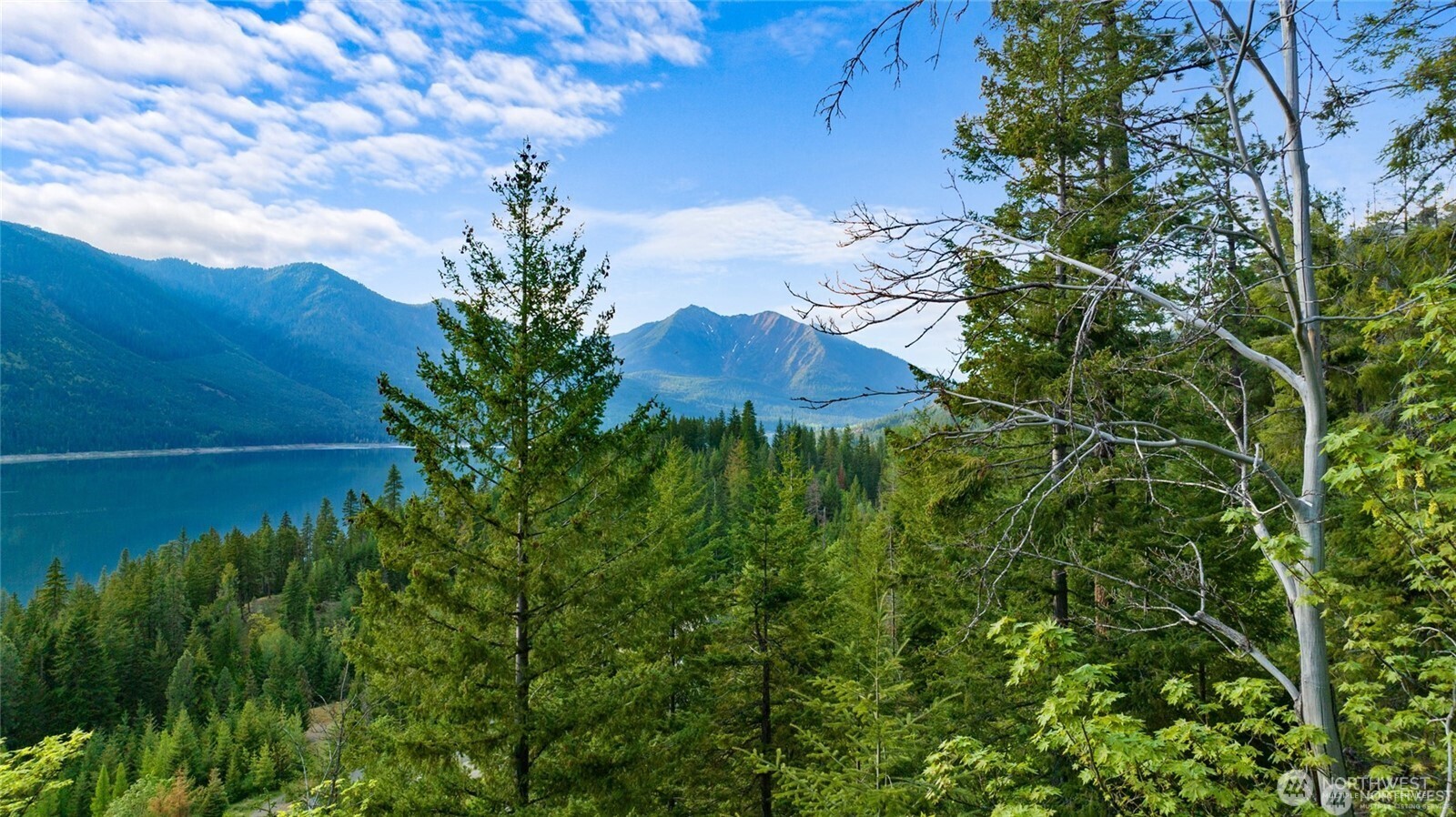 500 Anna Bell Drive Property Photo 9