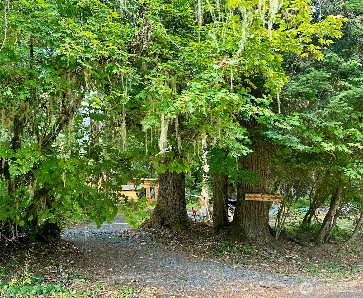 55918 317th Avenue Property Photo 1