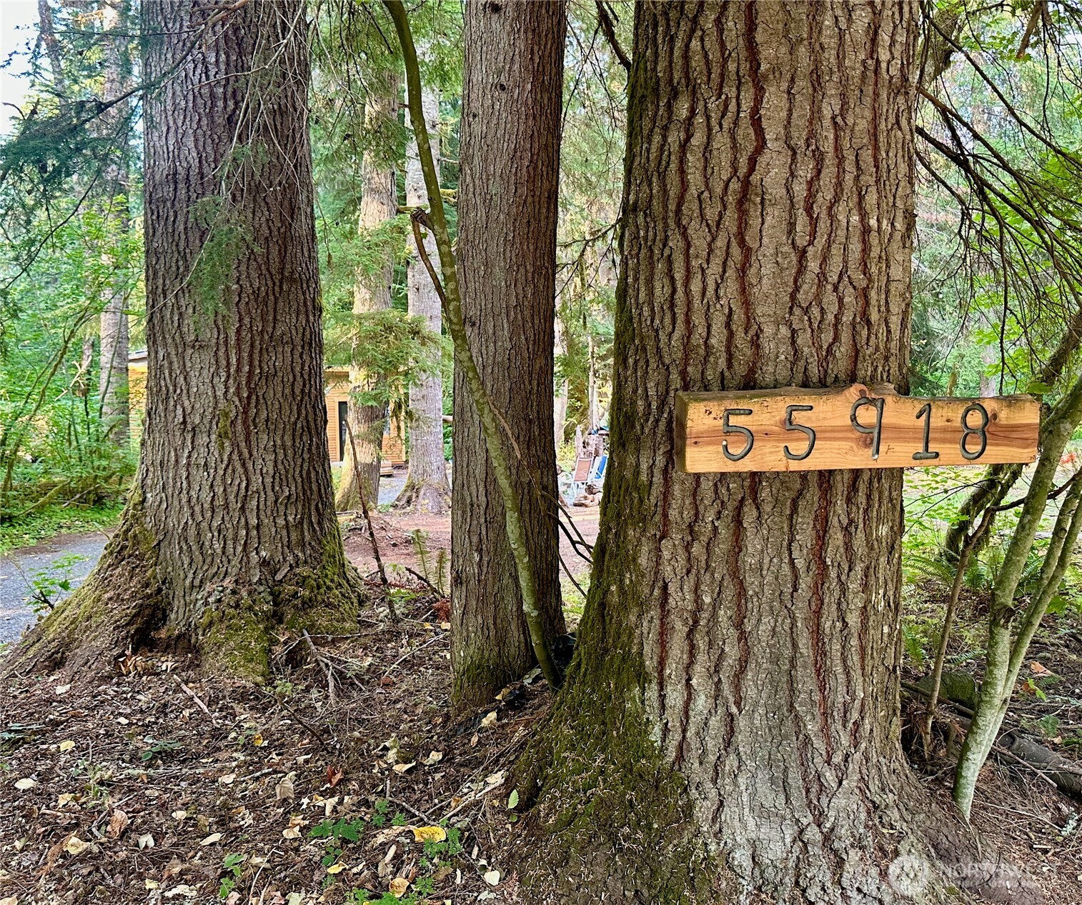 55918 317th Avenue Property Photo 24