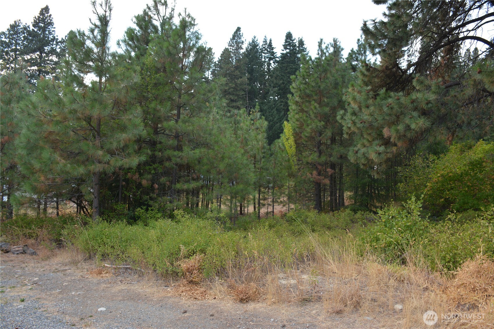 203 E Nevada Avenue Property Photo 4