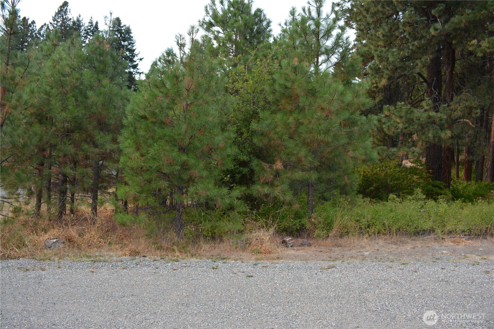 203 E Nevada Avenue Property Photo 5