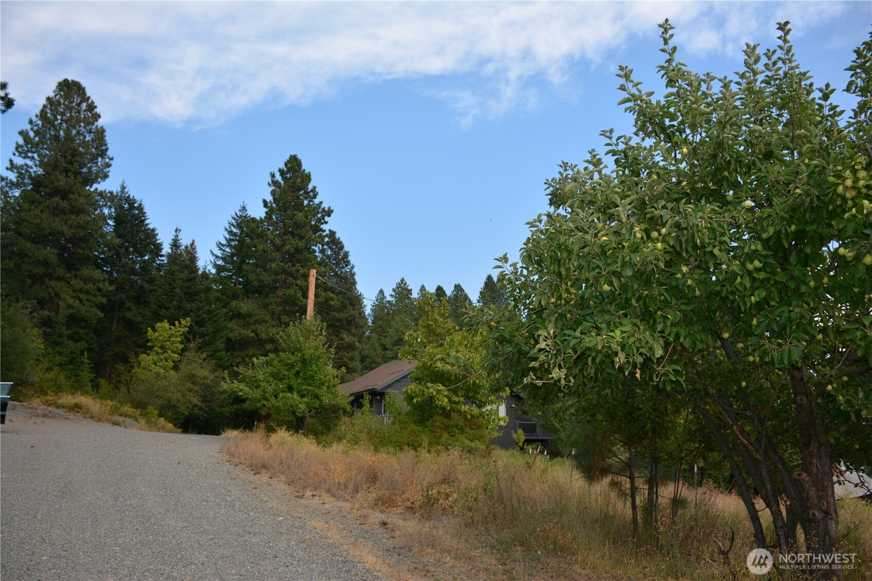 203 E Nevada Avenue Property Photo 6