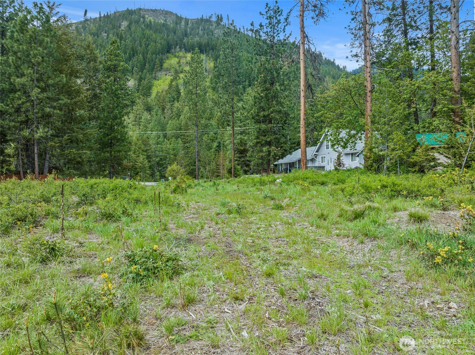 81 Norling Lane Property Photo 22