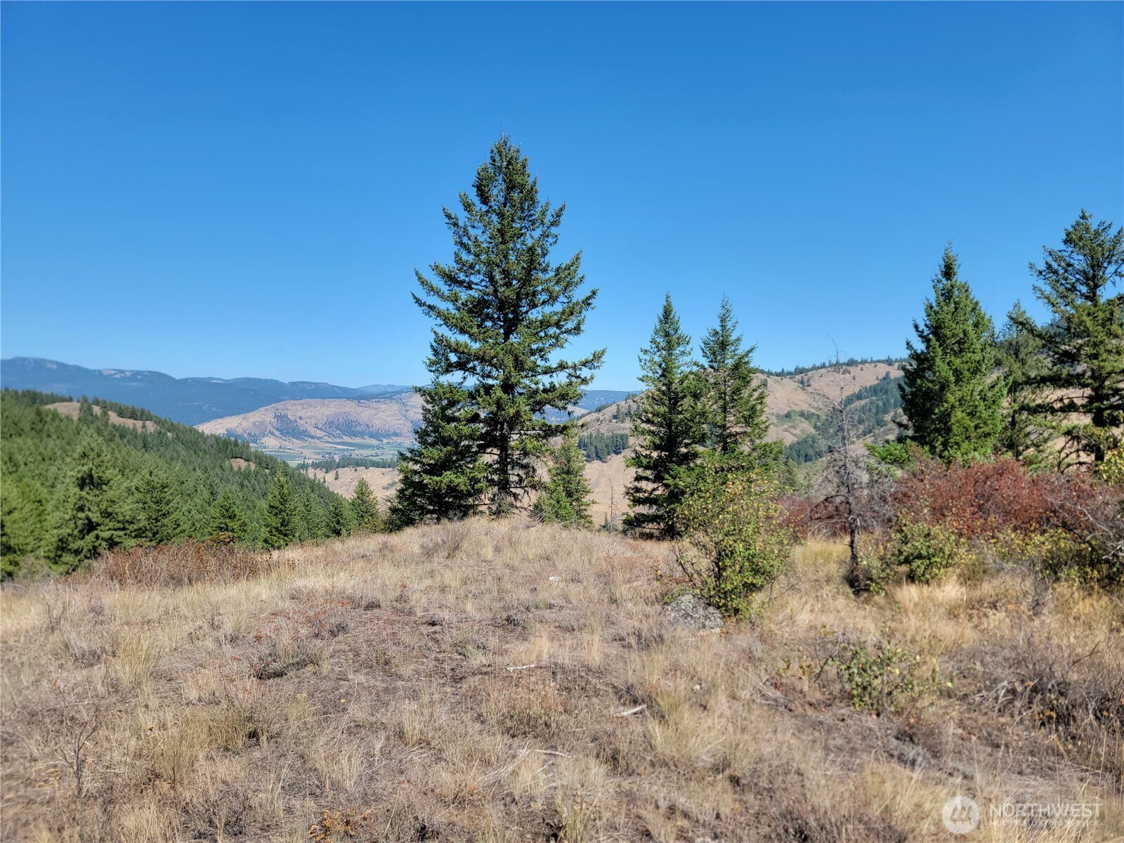 9999 Lone Ranch Rd Property Photo 2
