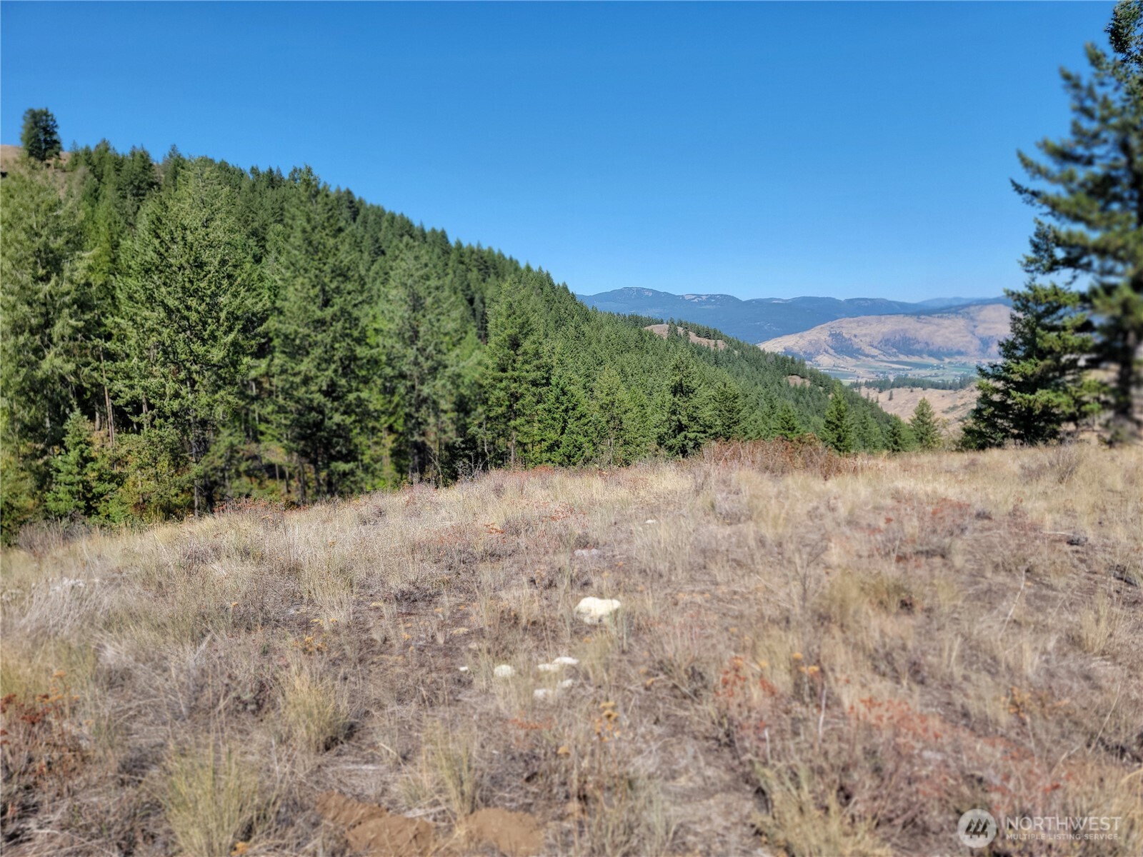 9999 Lone Ranch Rd Property Photo 3