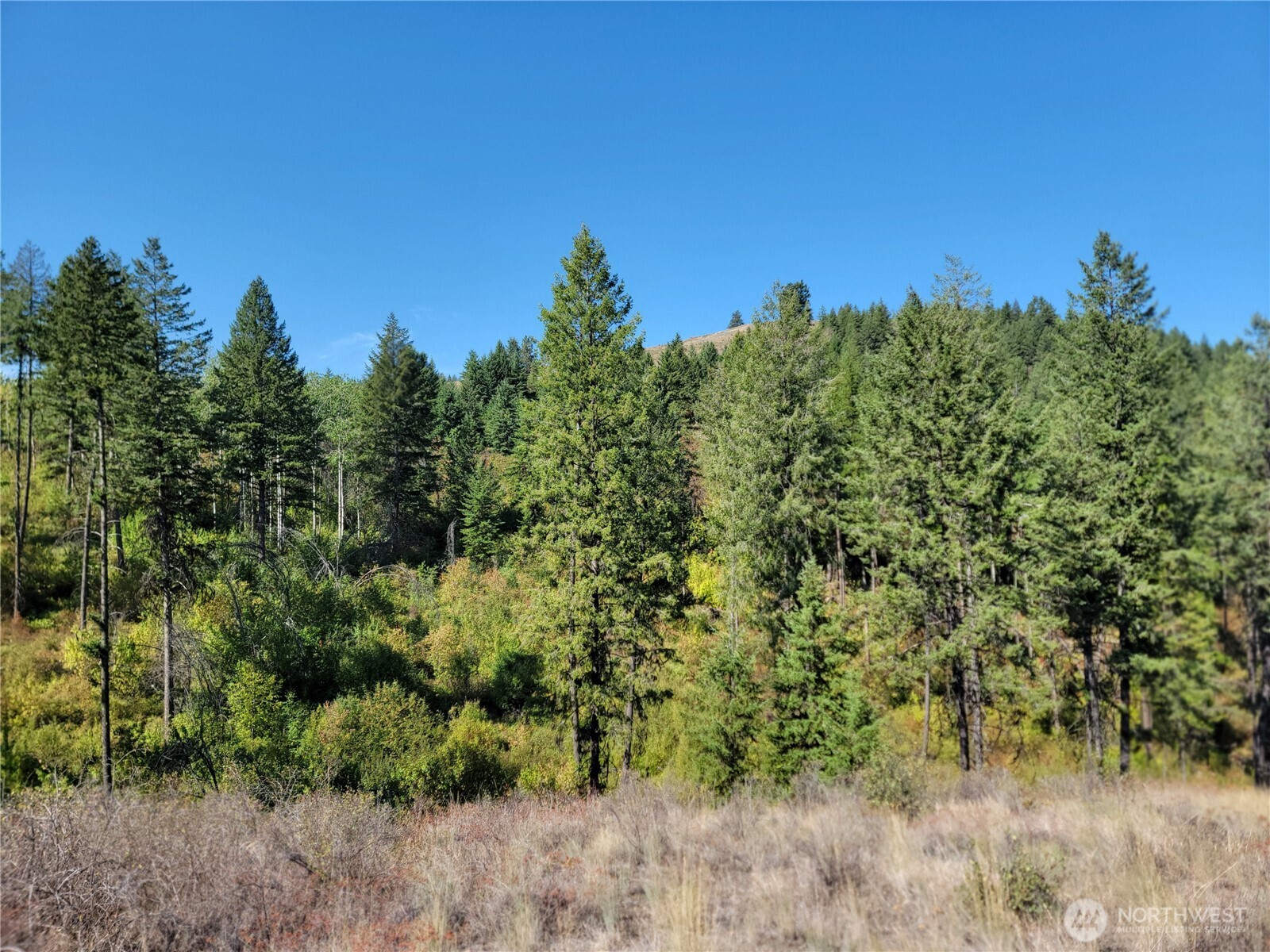9999 Lone Ranch Rd Property Photo 4