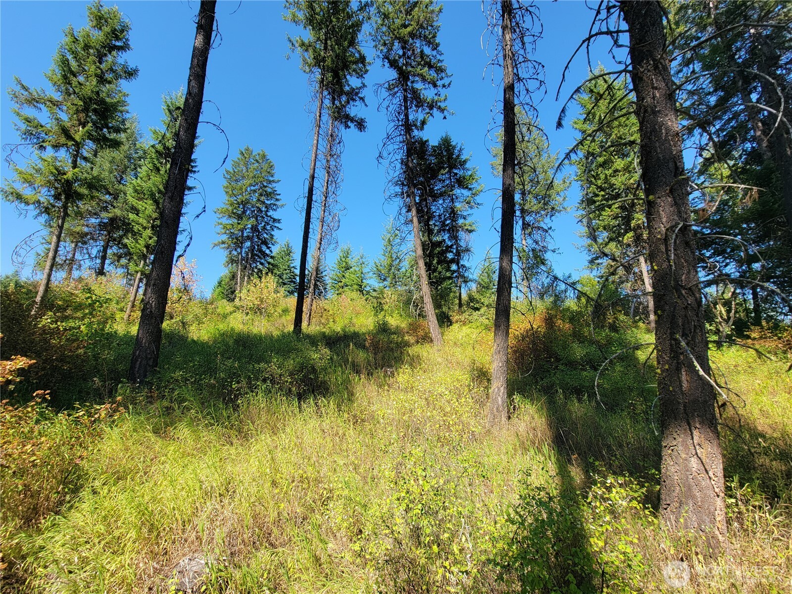 9999 Lone Ranch Rd Property Photo 6