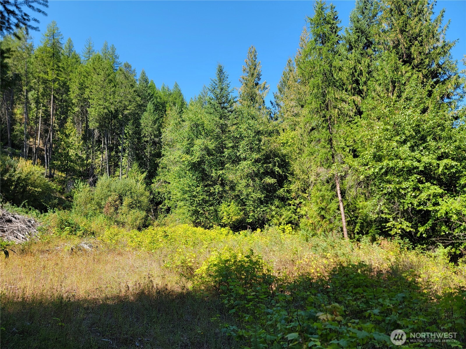 9999 Lone Ranch Rd Property Photo 7