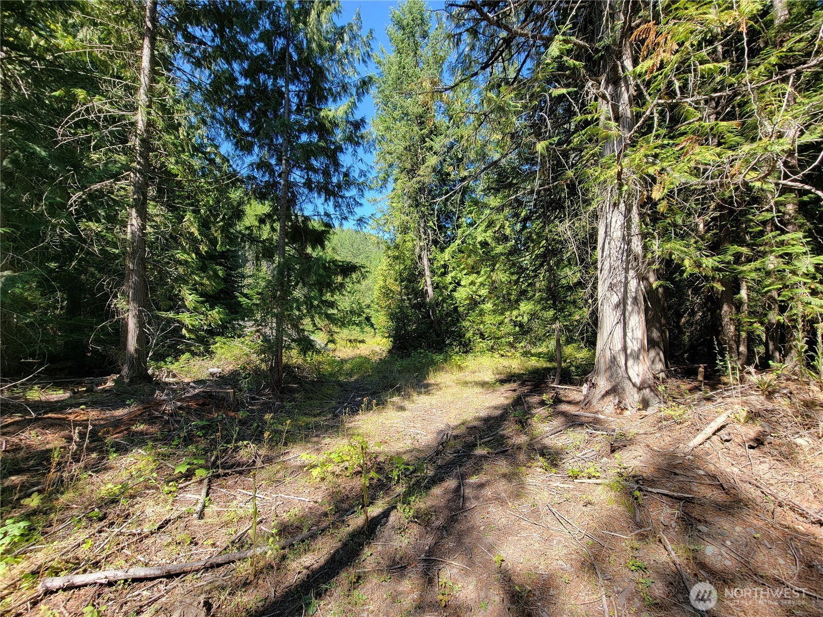 9999 Lone Ranch Rd Property Photo 8