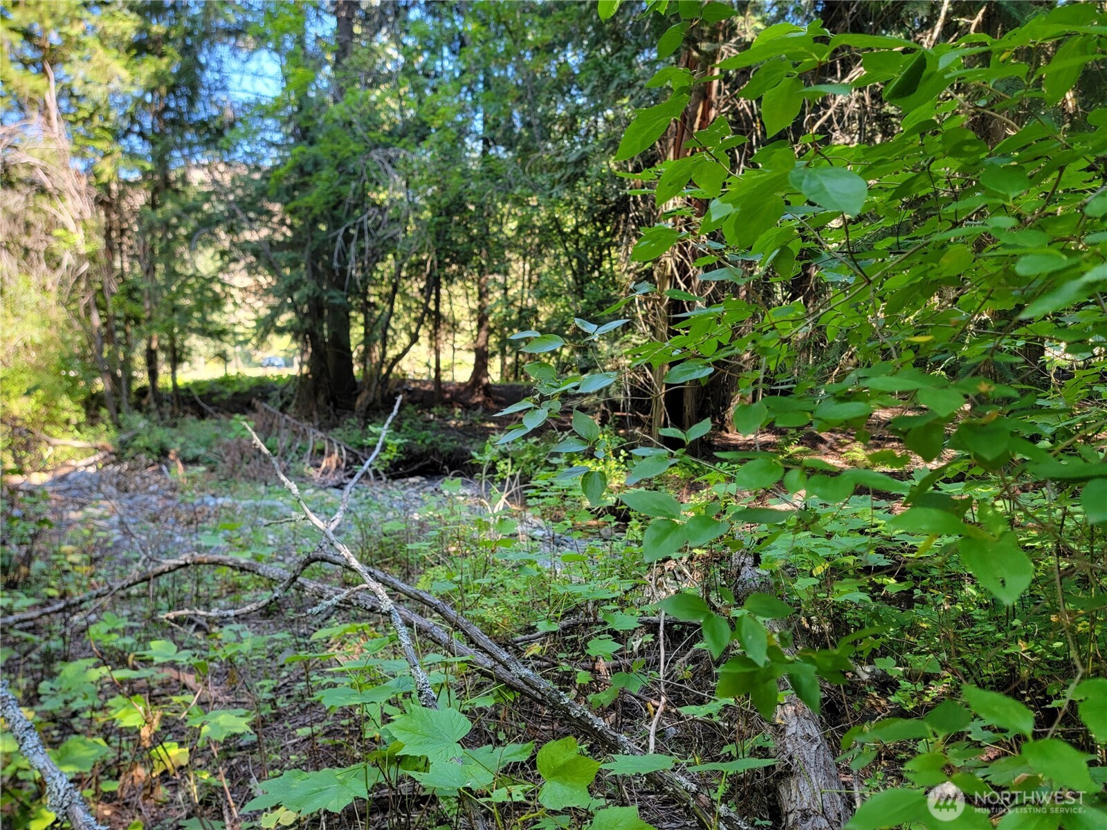 9999 Lone Ranch Rd Property Photo 10