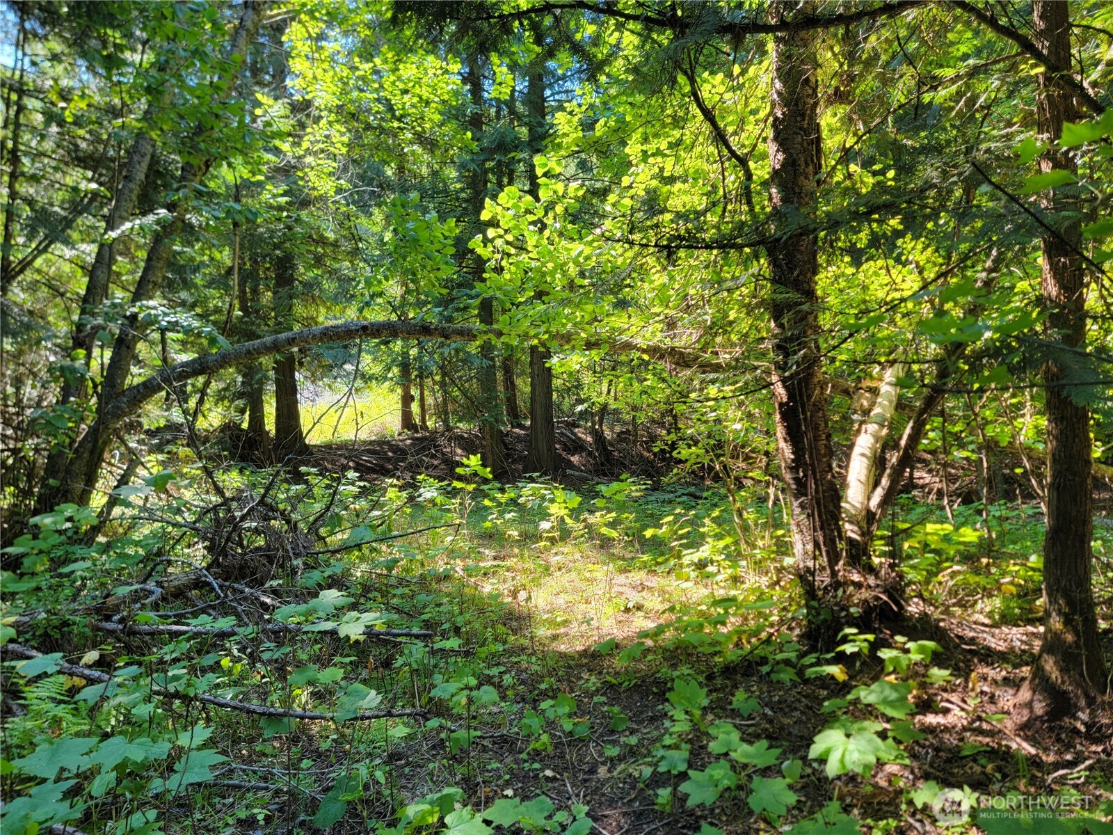 9999 Lone Ranch Rd Property Photo 12