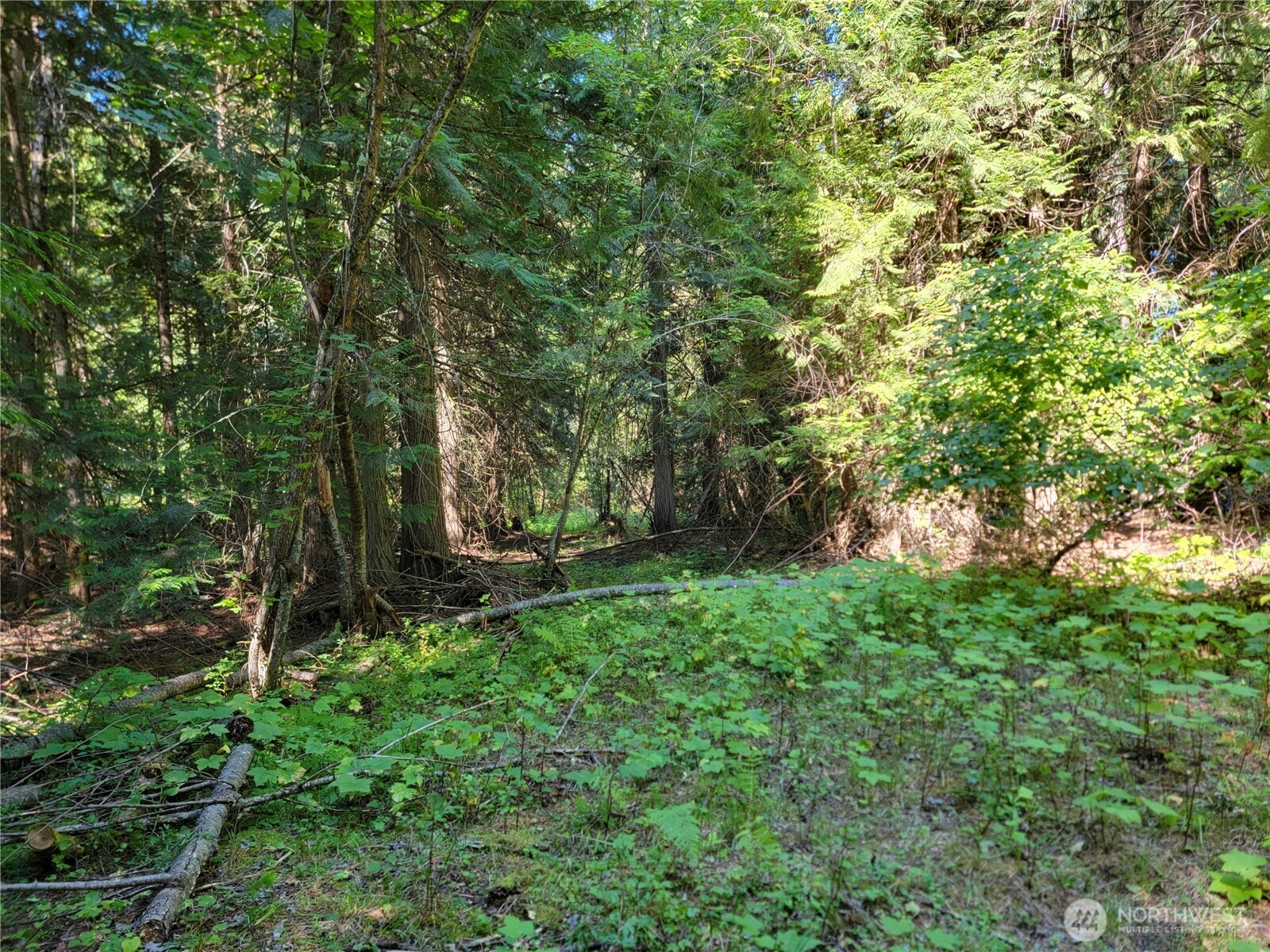 9999 Lone Ranch Rd Property Photo 13