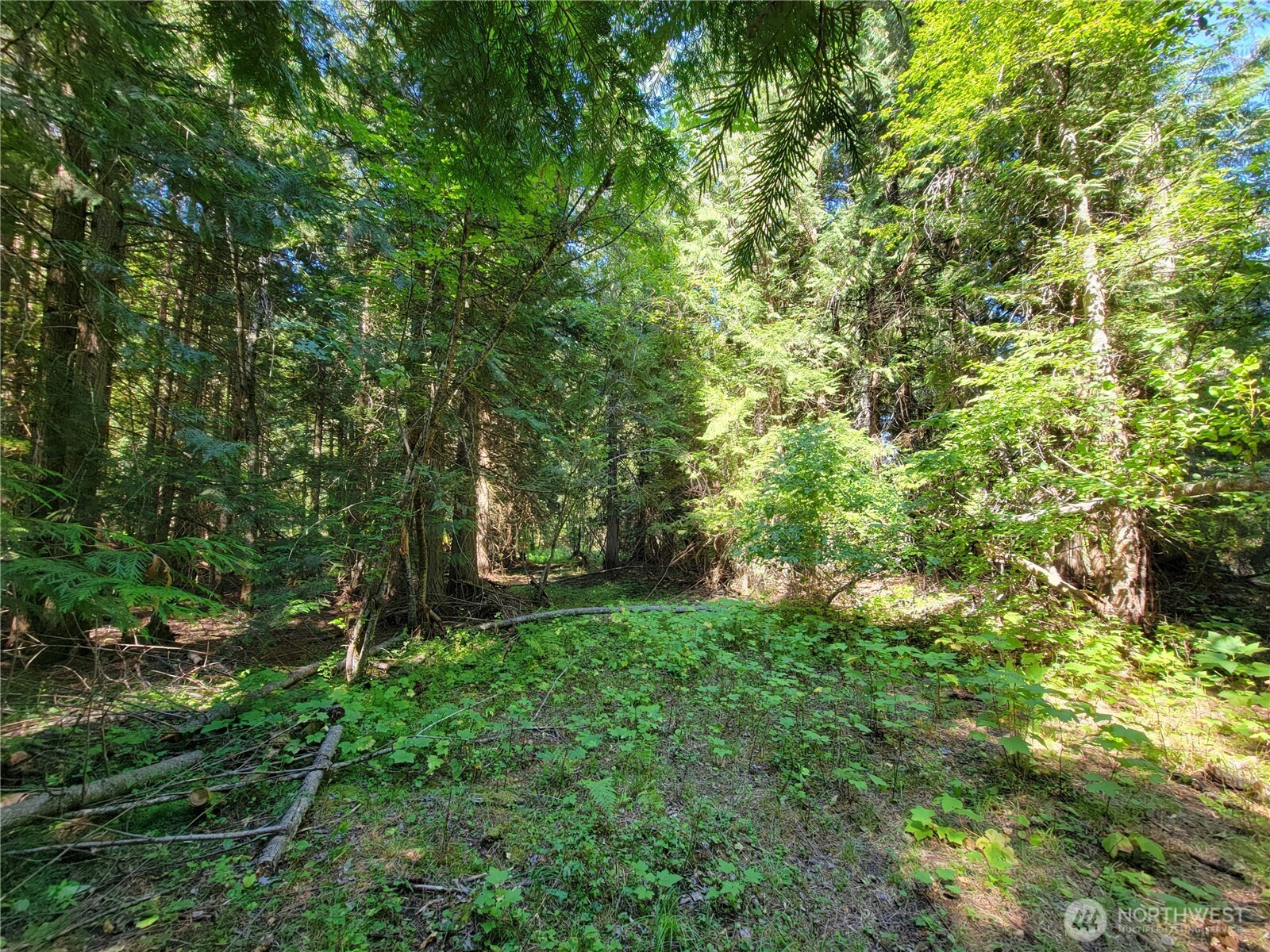 9999 Lone Ranch Rd Property Photo 14