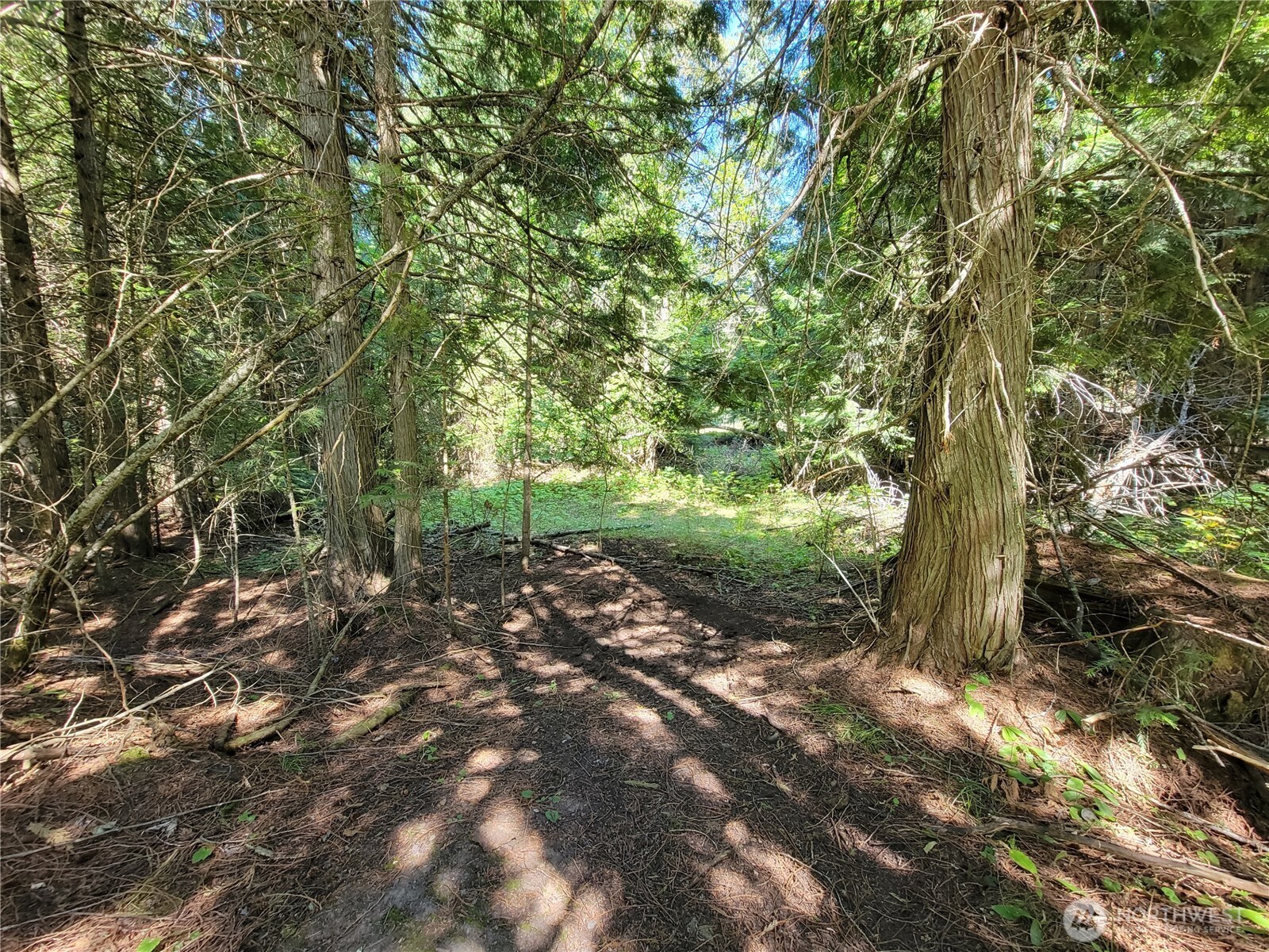9999 Lone Ranch Rd Property Photo 15