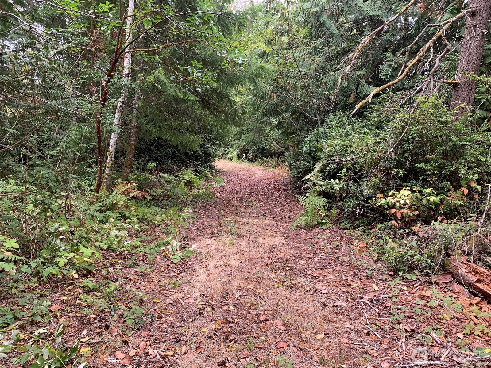 4153 146th Avenue Property Photo 2