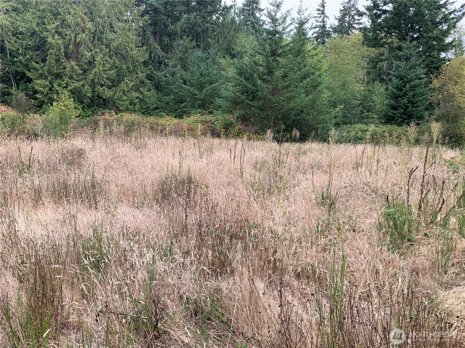 4153 146th Avenue Property Photo 3