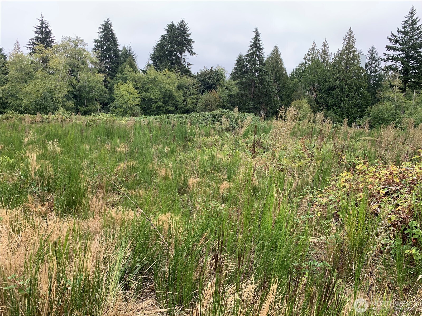 4153 146th Avenue Property Photo 4