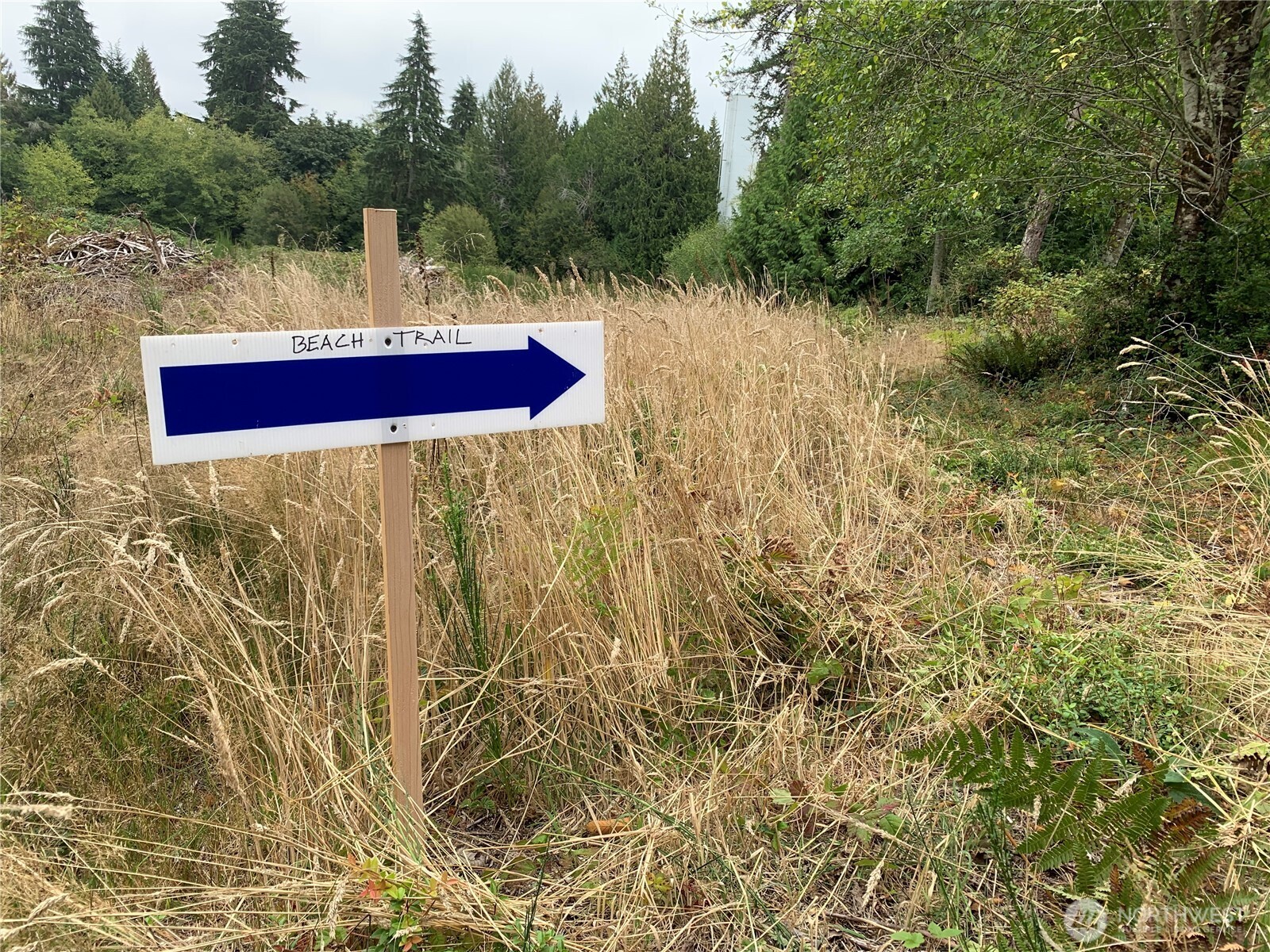 4153 146th Avenue Property Photo 5