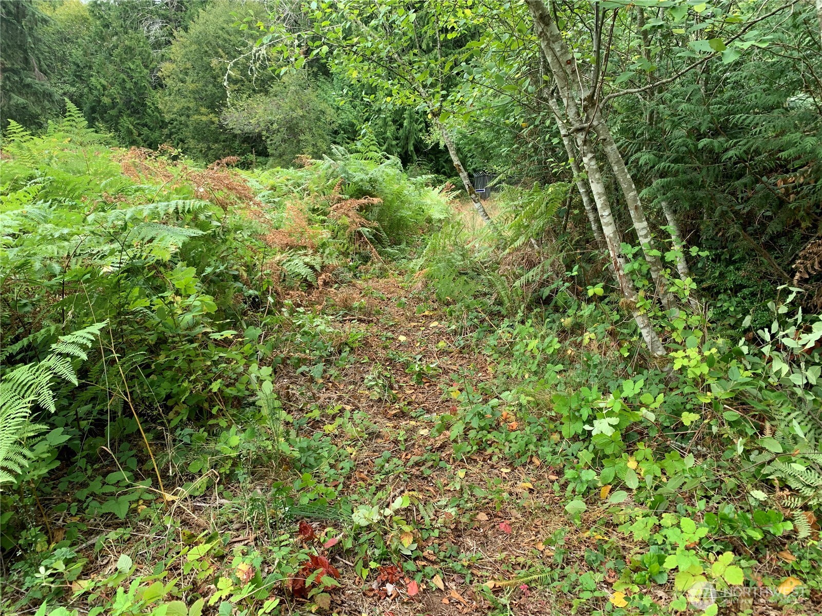 4153 146th Avenue Property Photo 6