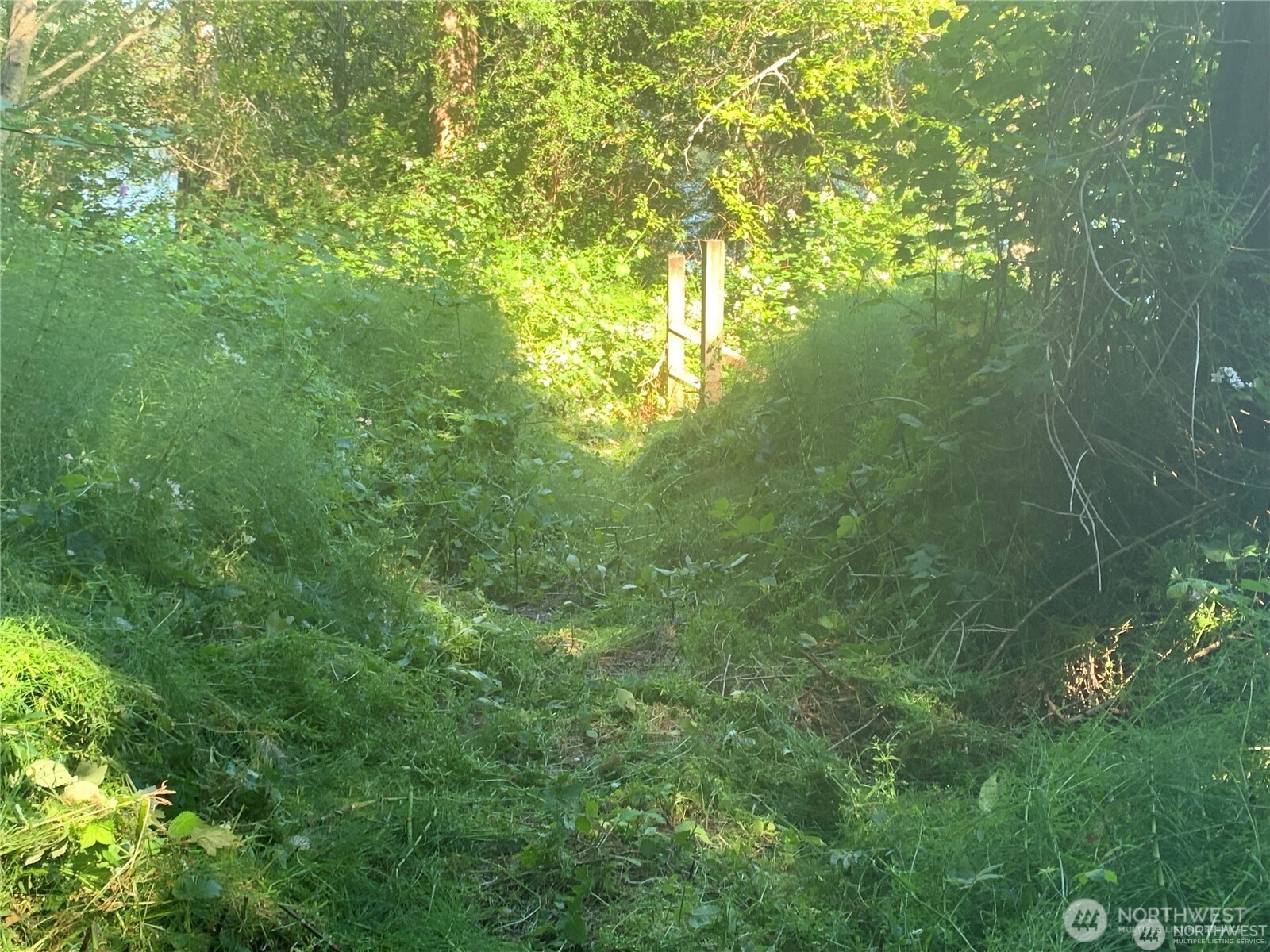 4153 146th Avenue Property Photo 9