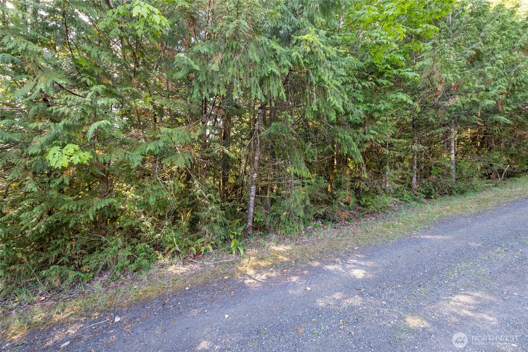 0 E Mason Avenue Property Photo 5