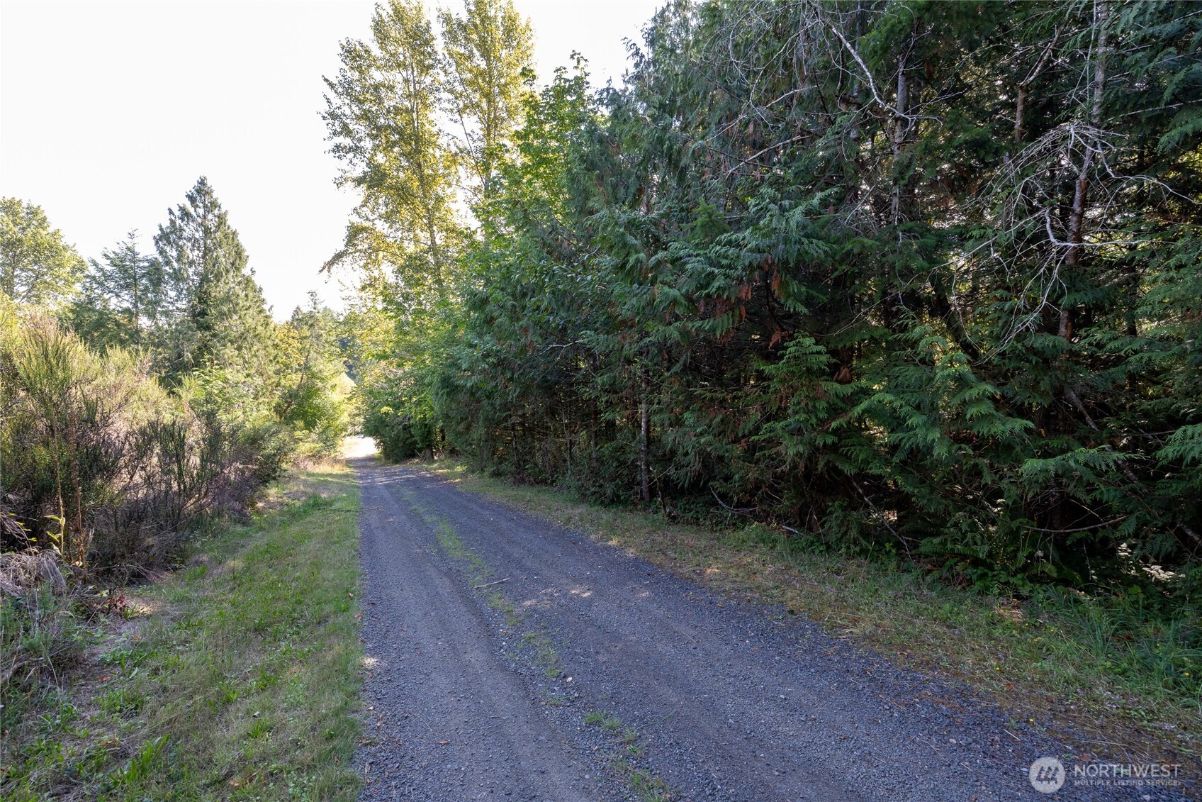 0 E Mason Avenue Property Photo 6