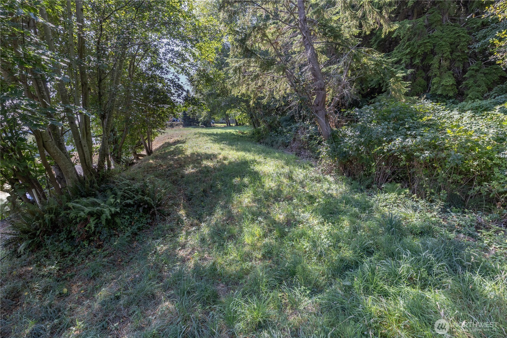 999 Maxview Drive Property Photo 9