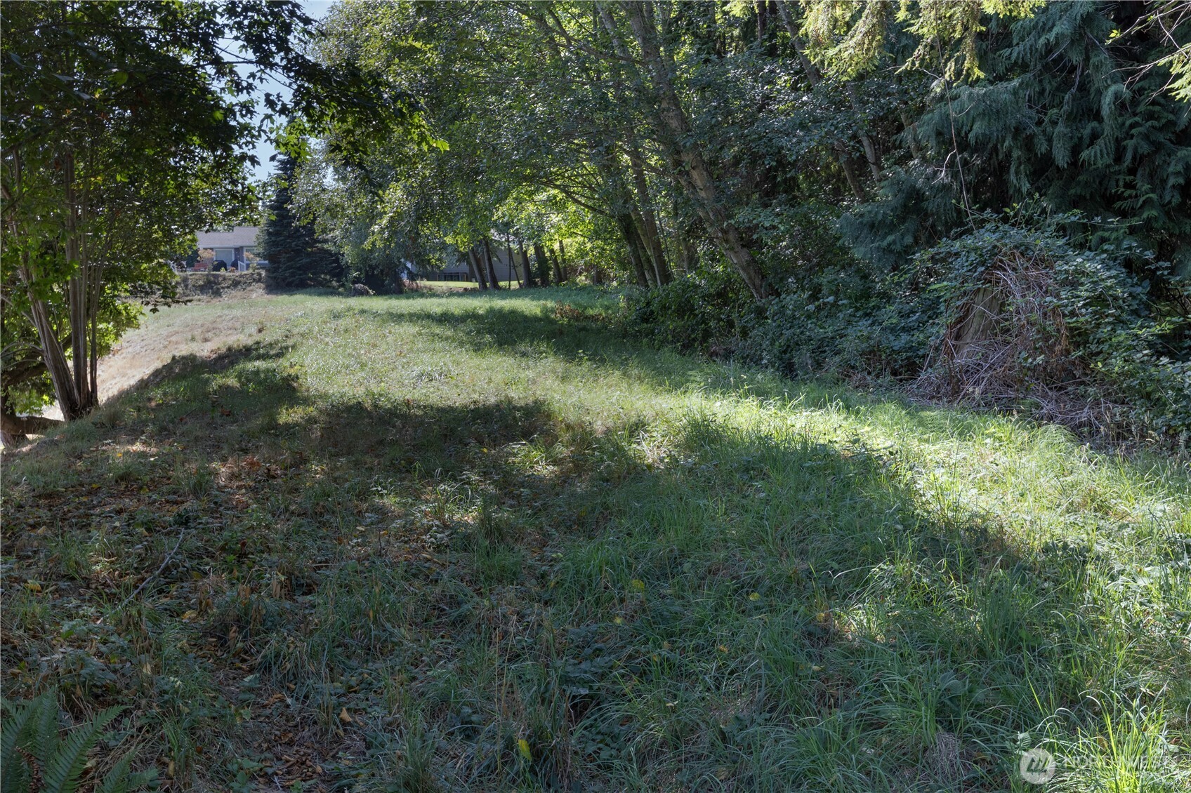 999 Maxview Drive Property Photo 11