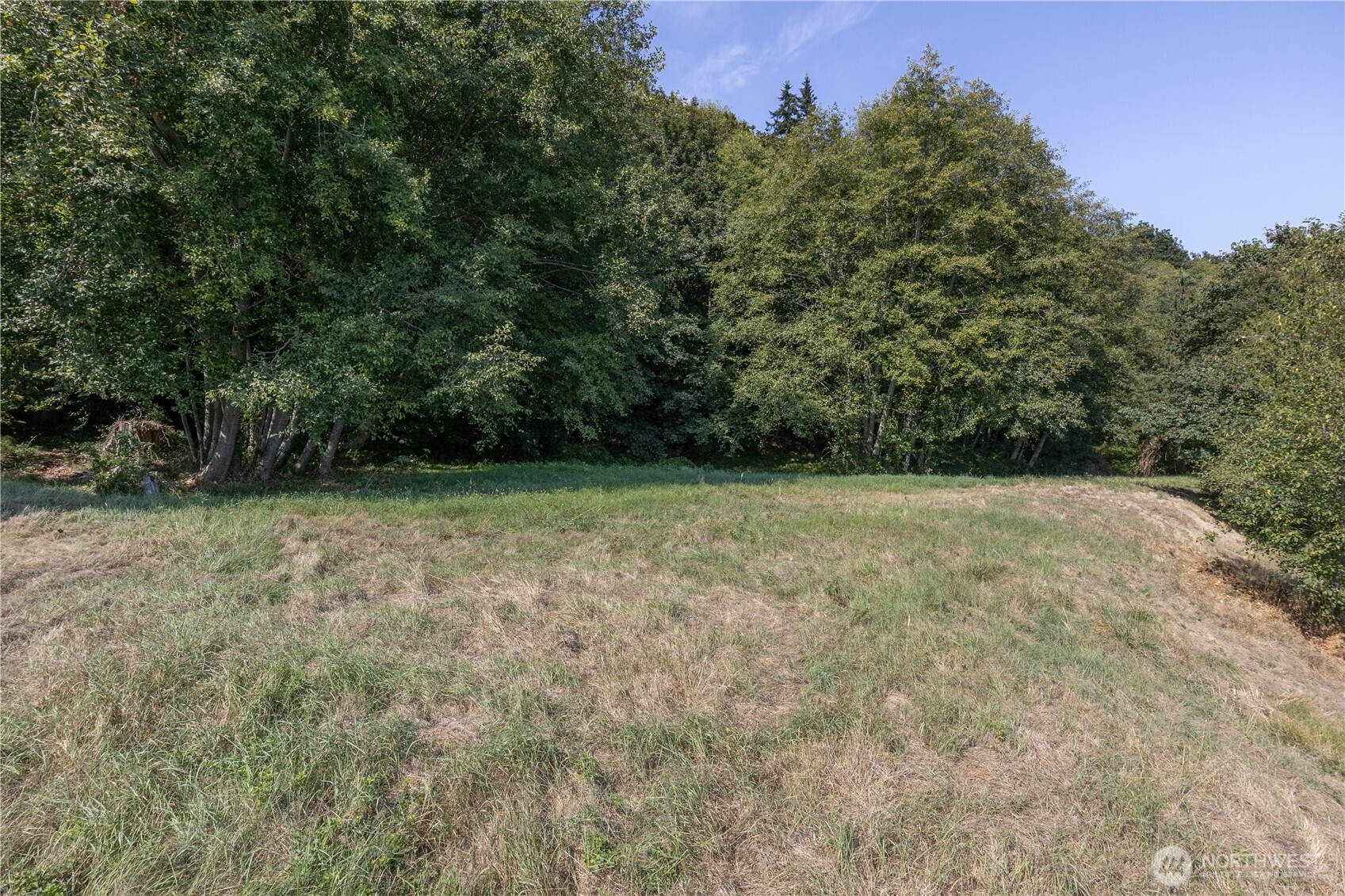 999 Maxview Drive Property Photo 14