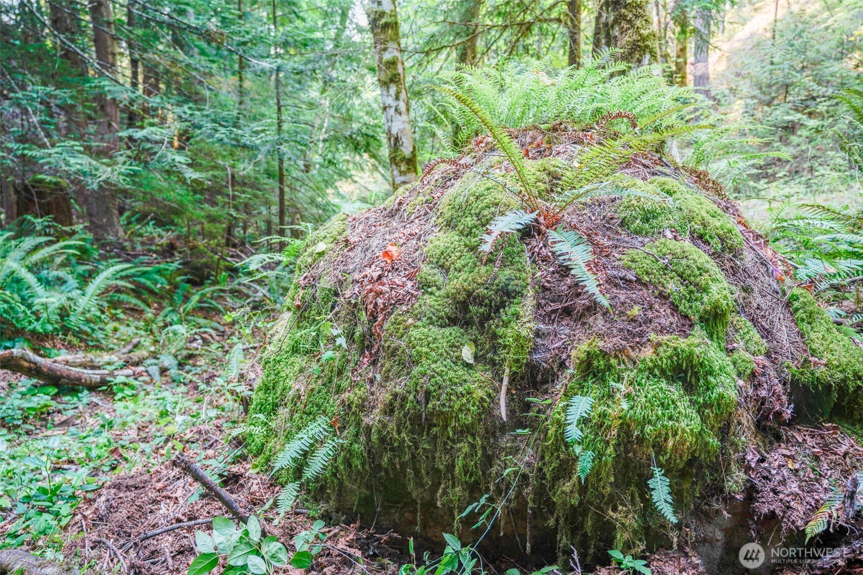 13 Dow Ridge Road Property Photo 15