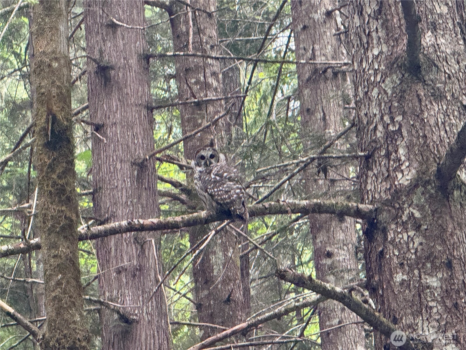 13 Dow Ridge Road Property Photo 16