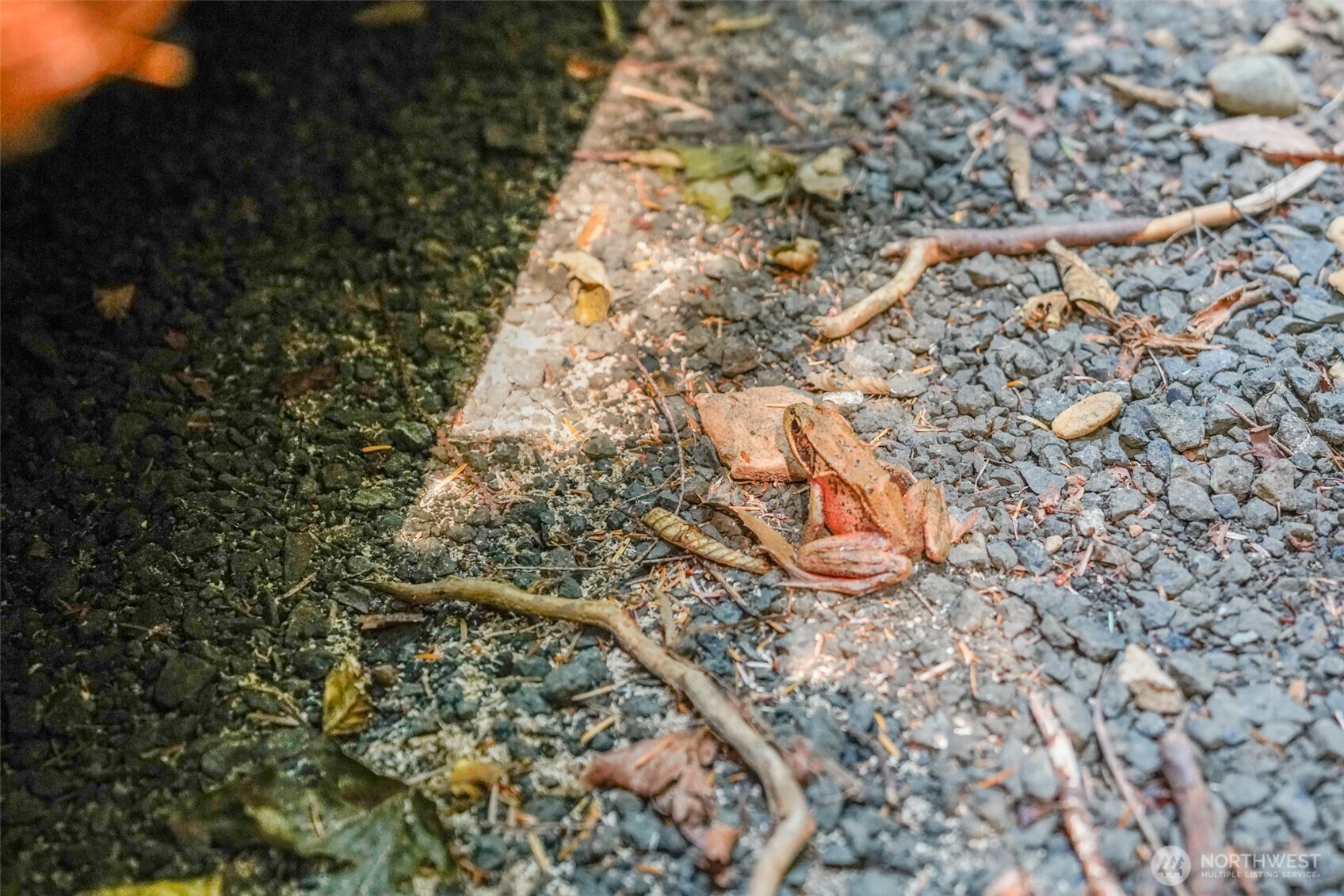 13 Dow Ridge Road Property Photo 17