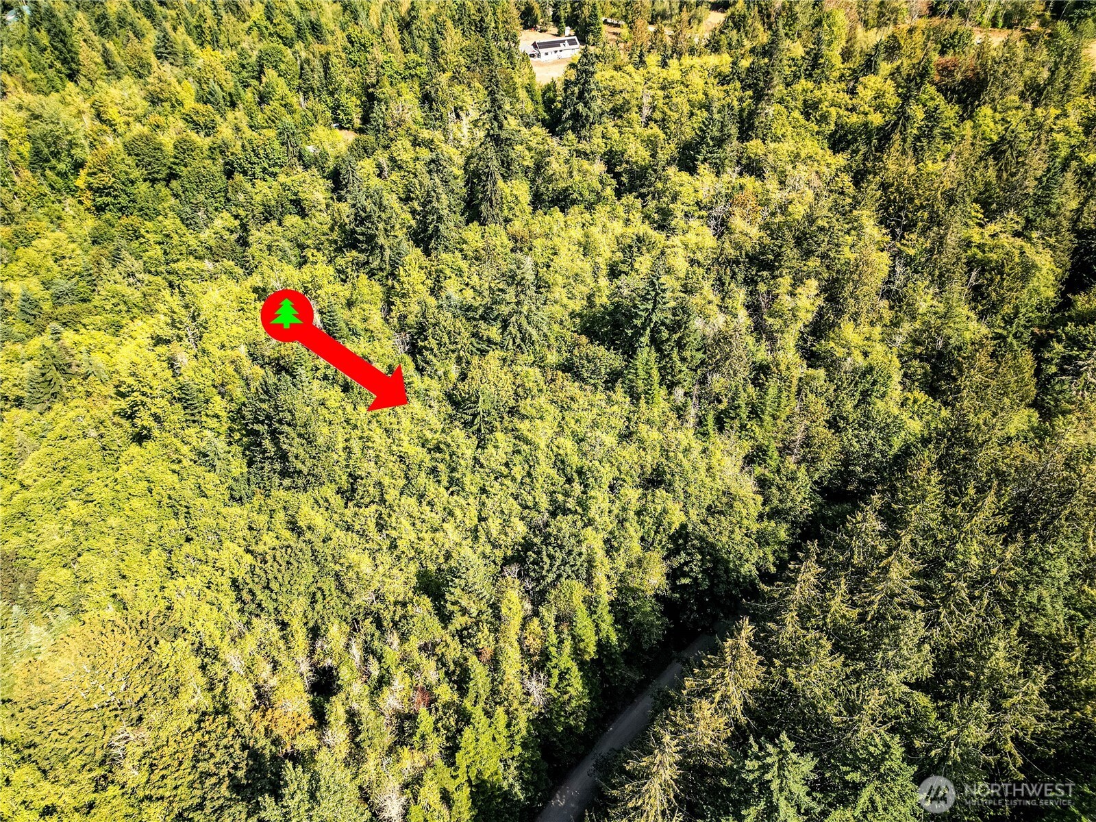9999 Ripplebrook Drive Property Photo 3
