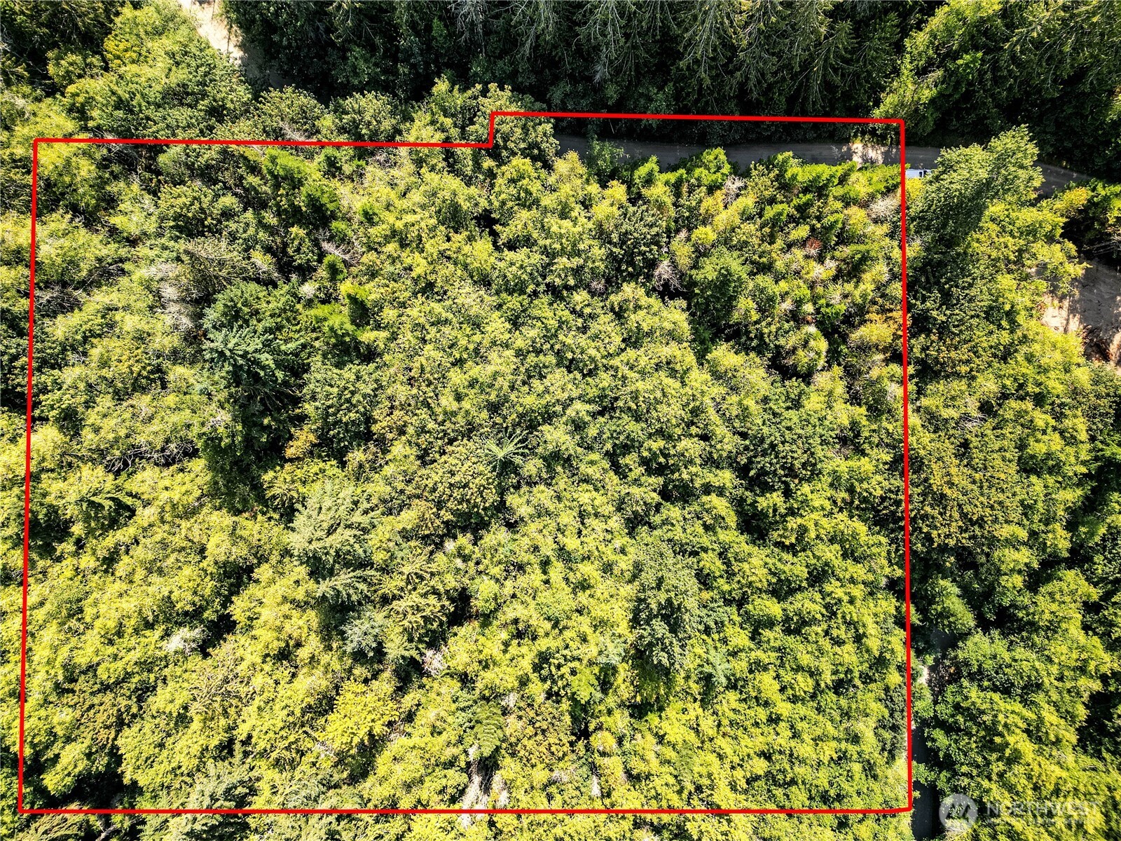 9999 Ripplebrook Drive Property Photo 15