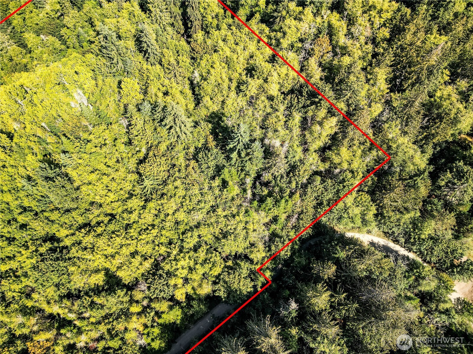 9999 Ripplebrook Drive Property Photo 17