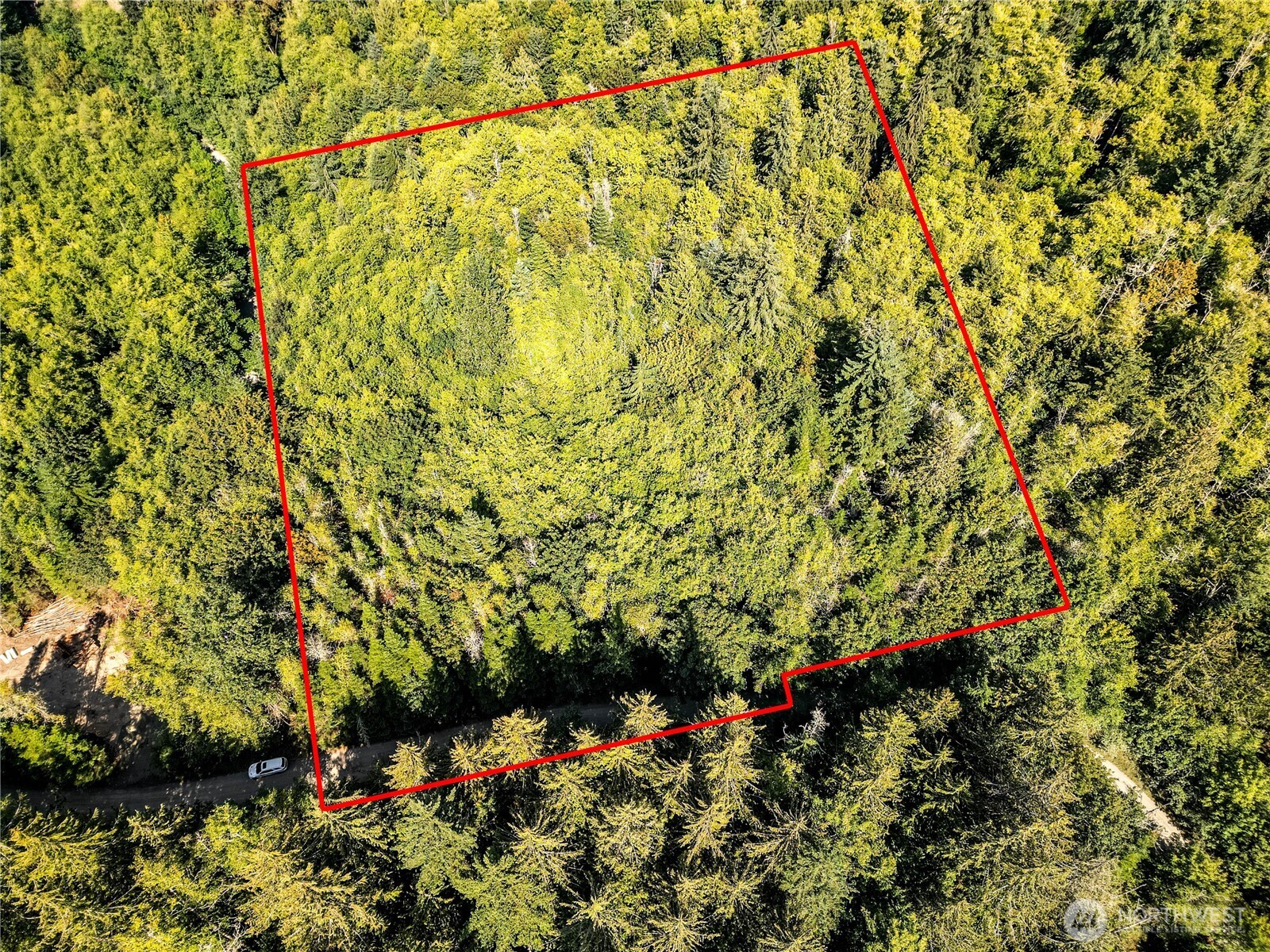 9999 Ripplebrook Drive Property Photo 19