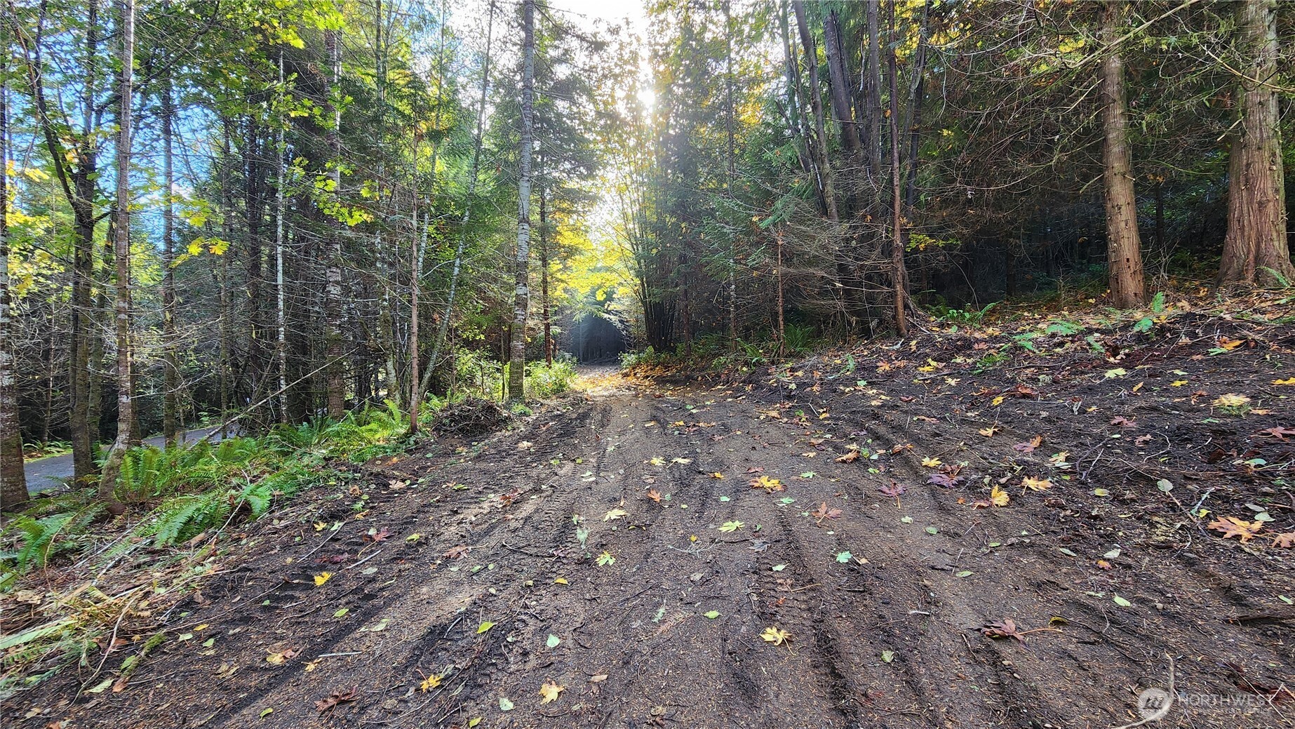 5704 Duane Lane Property Photo 8