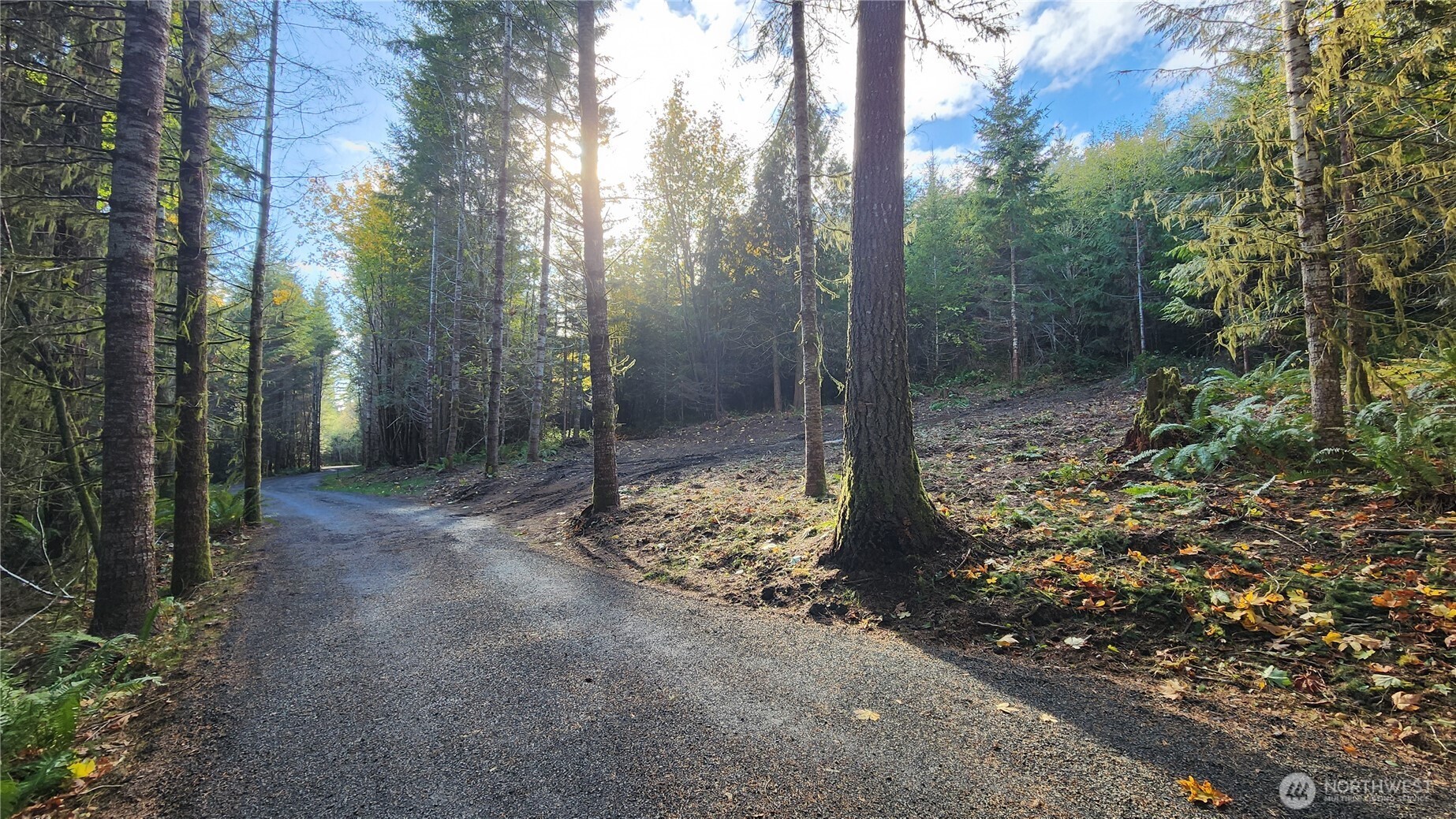 5704 Duane Lane Property Photo 11
